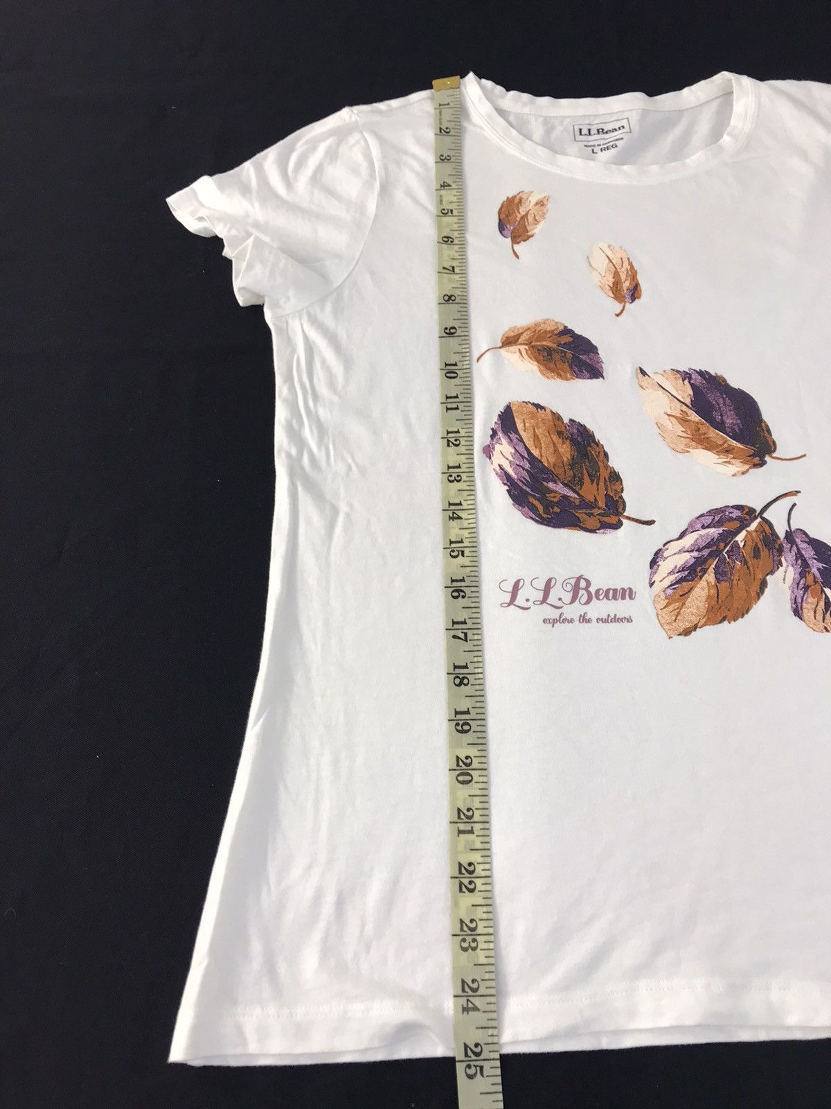 L.L. Bean LL Bean Explore The Outdoor Falling Dead Leave Logo Tee Size L / US 10 / IT 46 - 10 Thumbnail