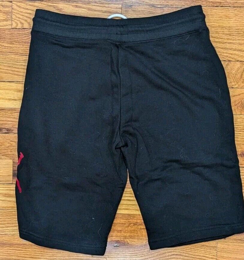 Nike BRAND NEW Nike Air Jordan Essentials Logo Shorts Size M Size US 32 / EU 48 - 2 Thumbnail
