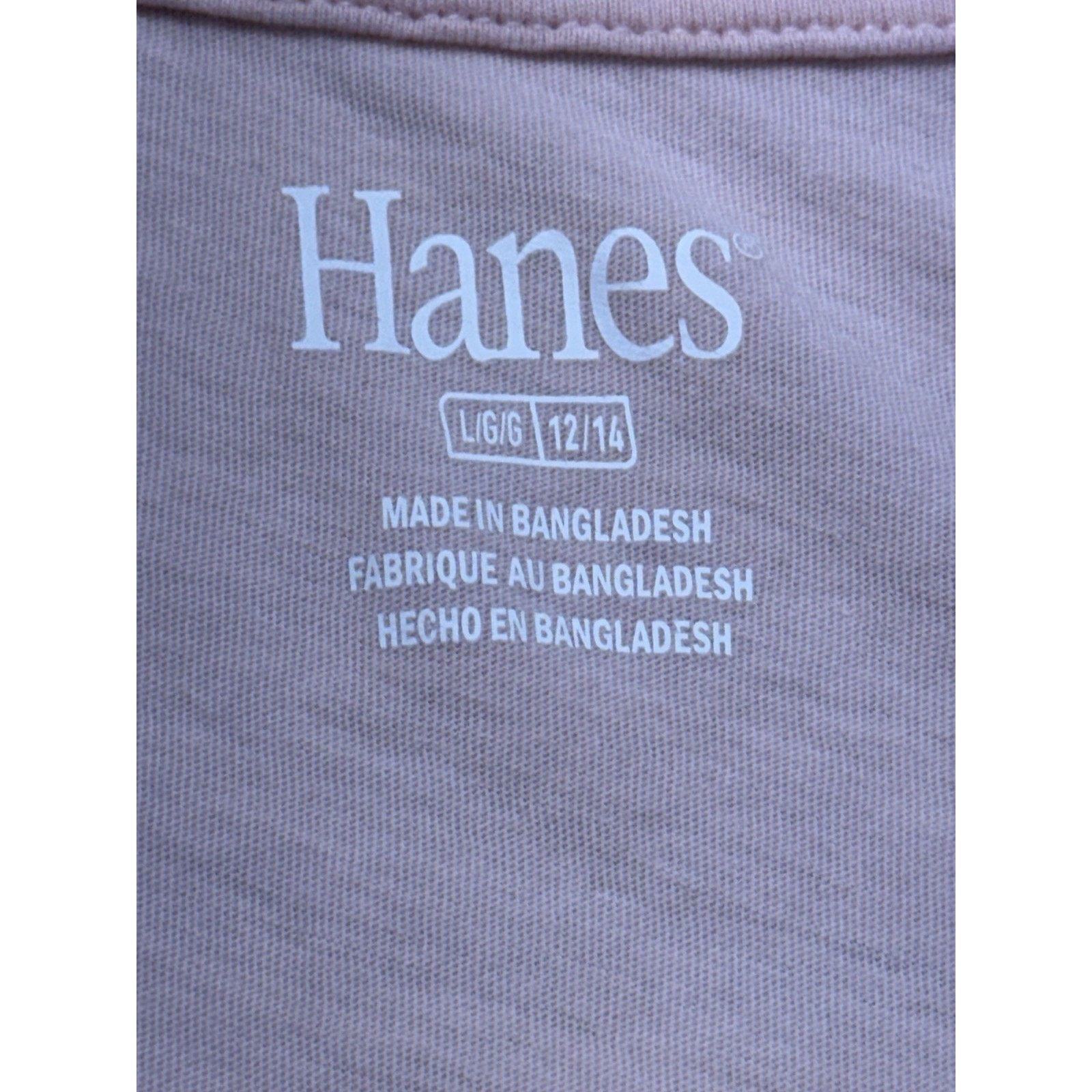 Hanes Michigan Wolverines Basic Hanes T-Shirt Womens Pink L Size US L / EU 52-54 / 3 - 6 Thumbnail
