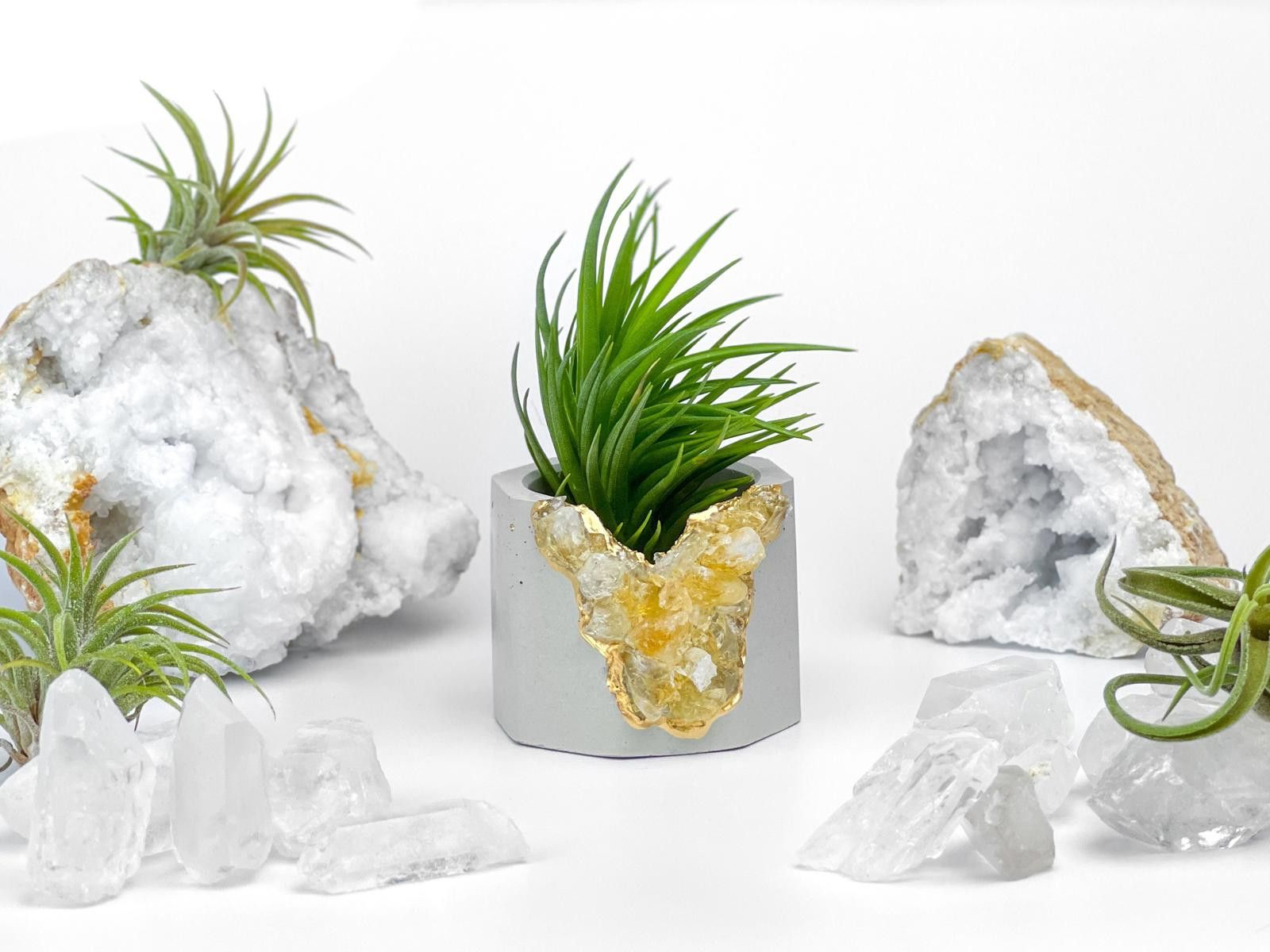Other Raw Citrine Succulent Geode Planter Crystal Air Plant Holder Size ONE SIZE - 5 Thumbnail