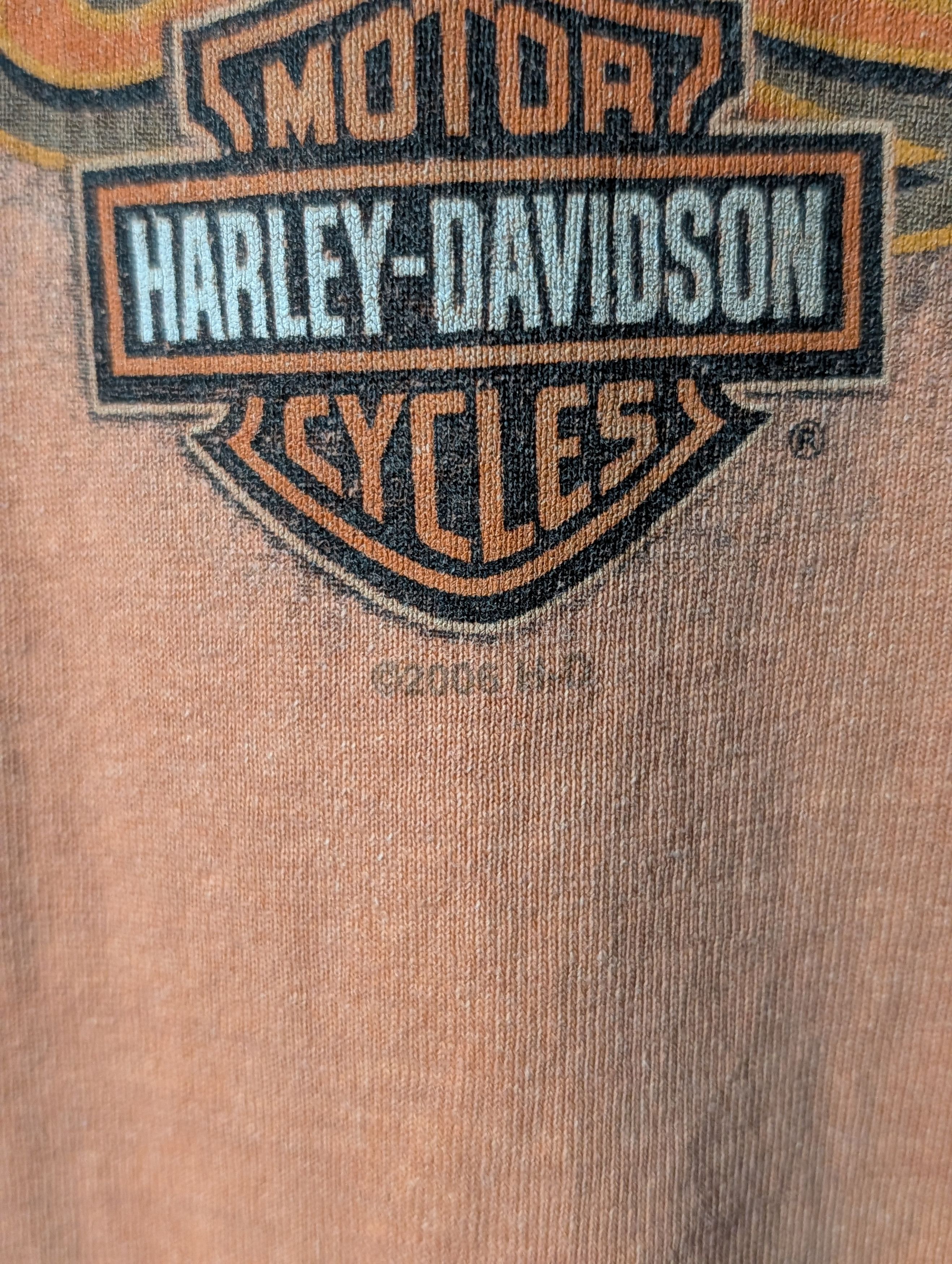 Harley Davidson Vintage 2006 Harley Davidson Motorcycle Eagle Flames T-Shirt Size US M / EU 48-50 / 2 - 3 Thumbnail