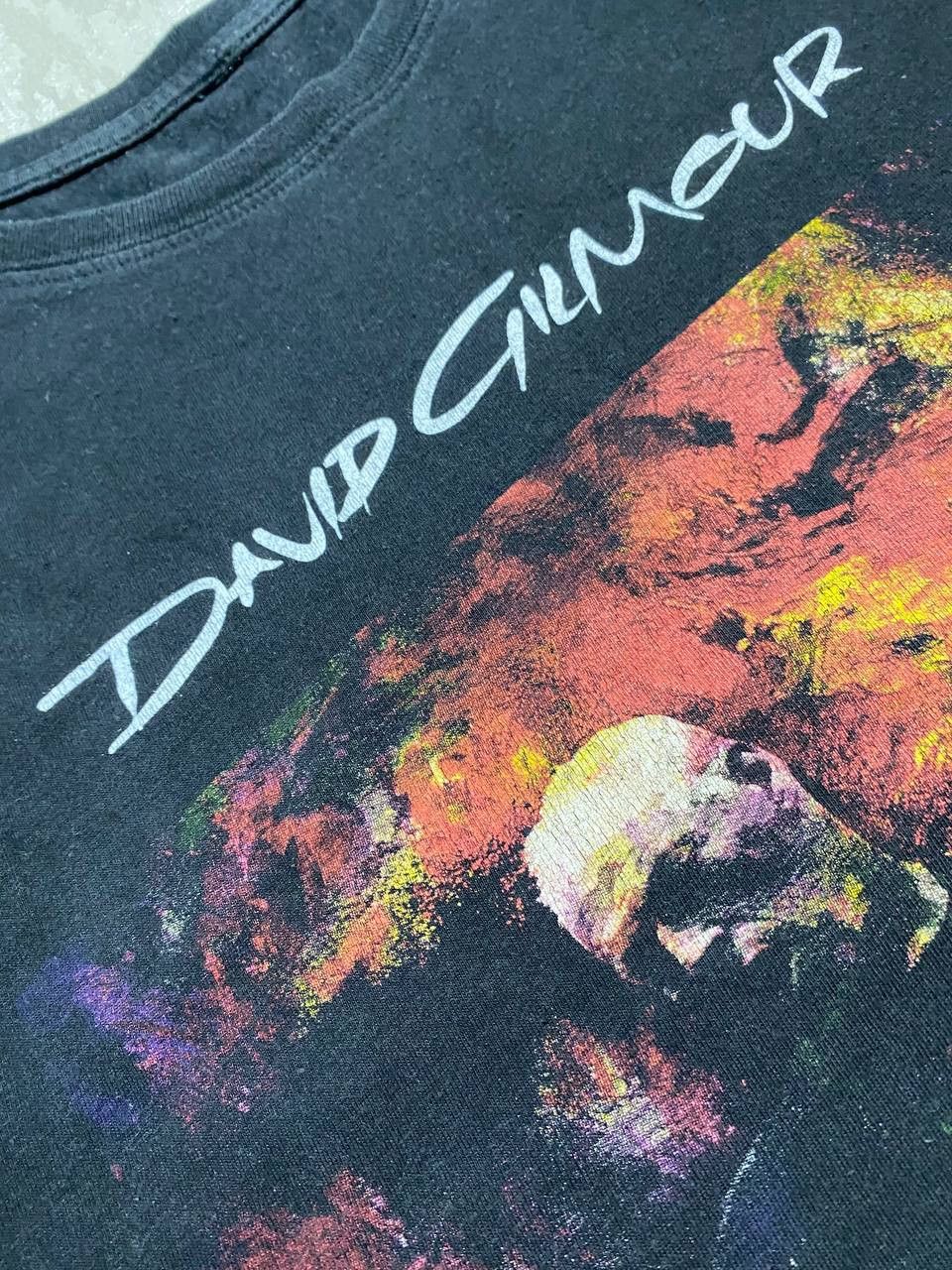 Band Tees × Pink Floyd Vintage 2015 David Gilmour (Pink Floyd AC/DC Deep Purple) Size US M / EU 48-50 / 2 - 5 Thumbnail