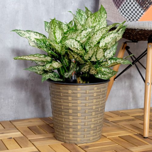 Designer × Homemade 10.2" Self-watering Wicker Decor Planter for Indoor and Outd Size US L / EU 52-54 / 3 - 6 Thumbnail