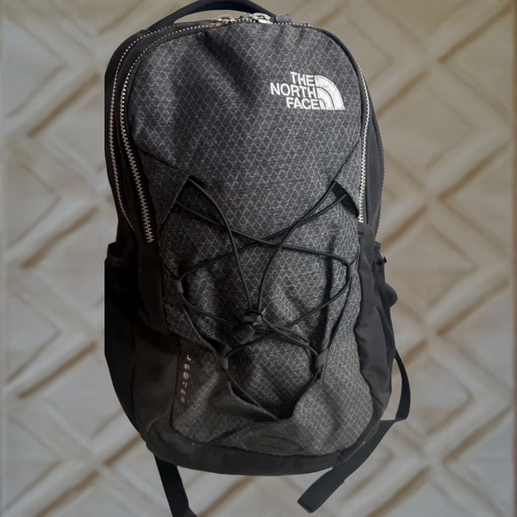 Supreme × The North Face Supreme North face Snakeskin Backpack
