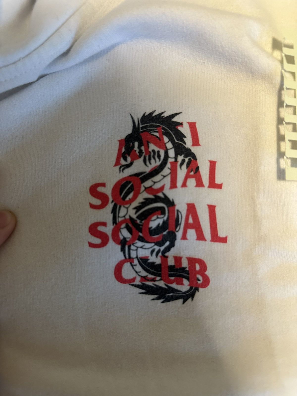 ASSC Garden Dragon Grove Hoodie