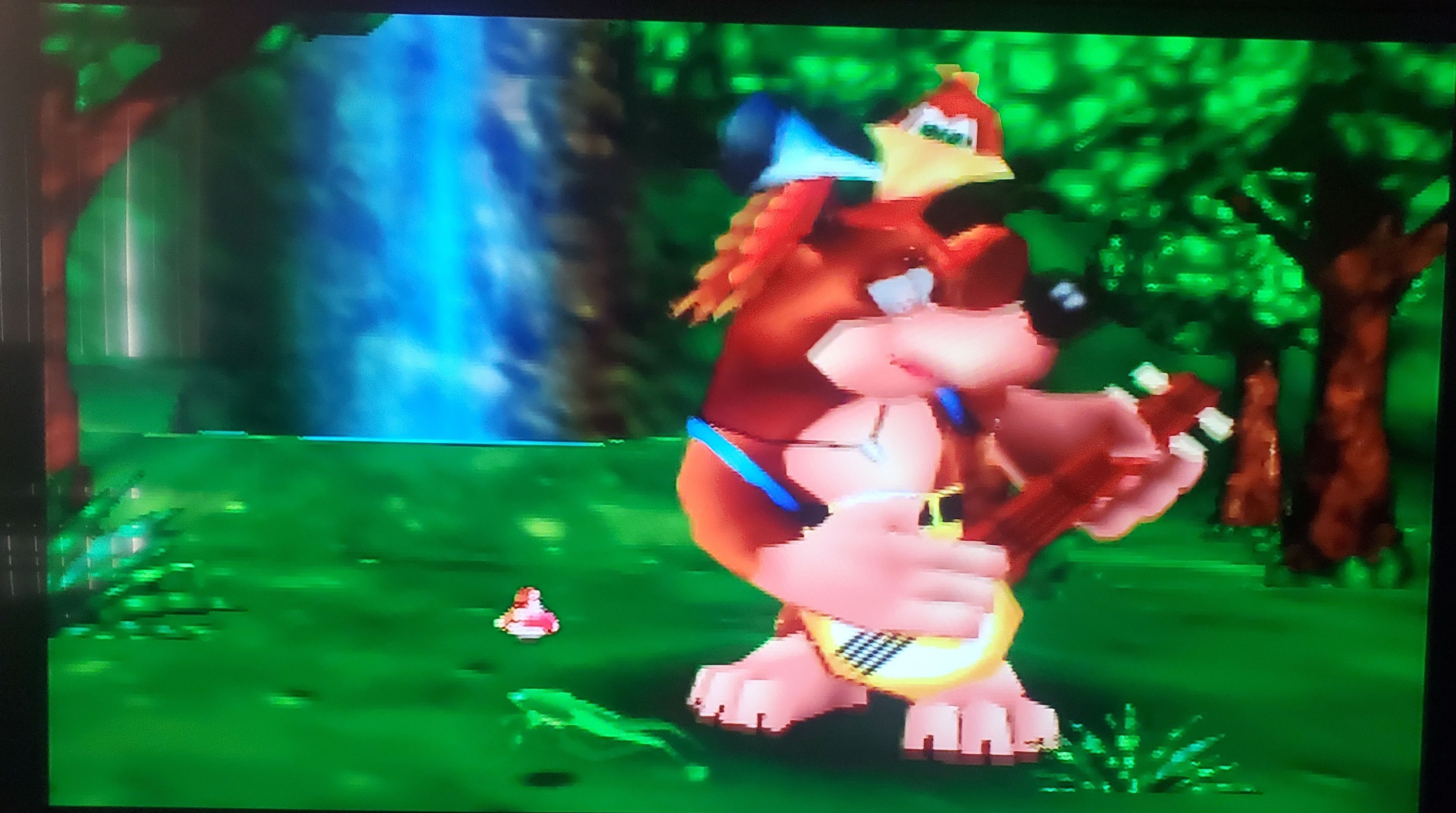 Nintendo Banjo Kazooie N64 Nintendo 64 Video Game Cartridge 1998 Size ONE SIZE - 2 Thumbnail