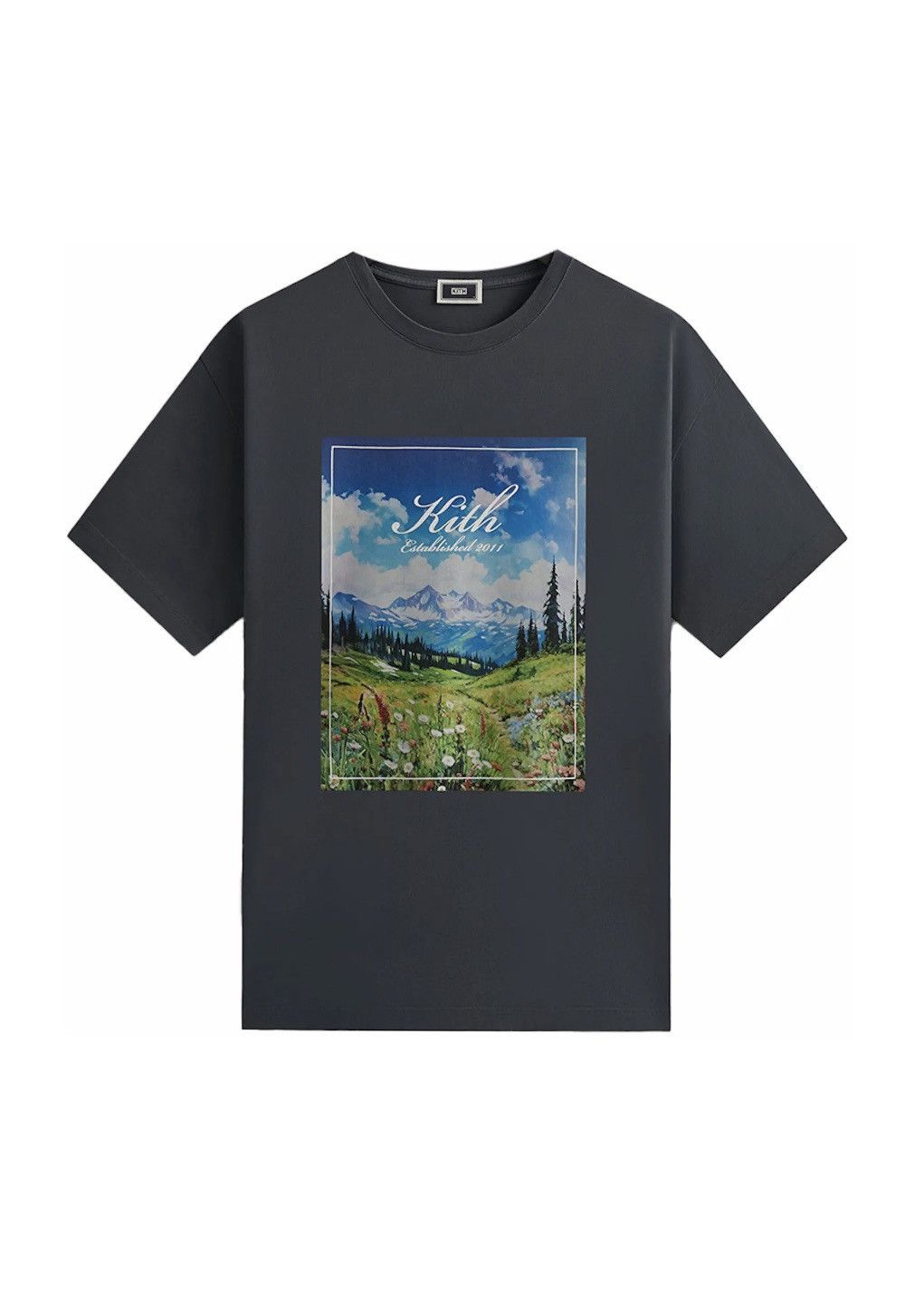 Kith Kith Landscape Vintage Tee Torpedo Size US M / EU 48-50 / 2 - 1 Thumbnail