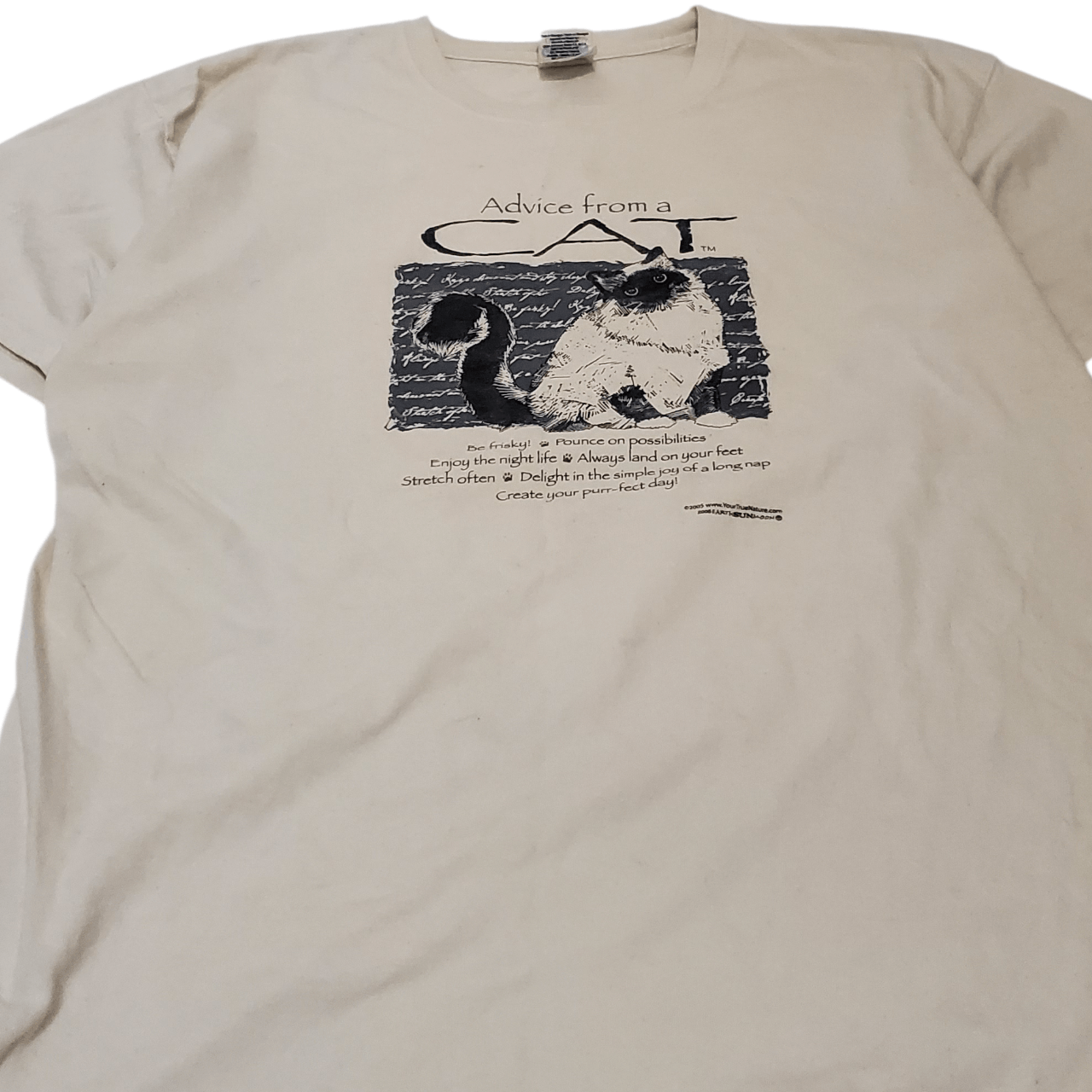 Vintage Y2K Advice From A Cat T-Shirt Size US XL / EU 56 / 4 - 2 Thumbnail