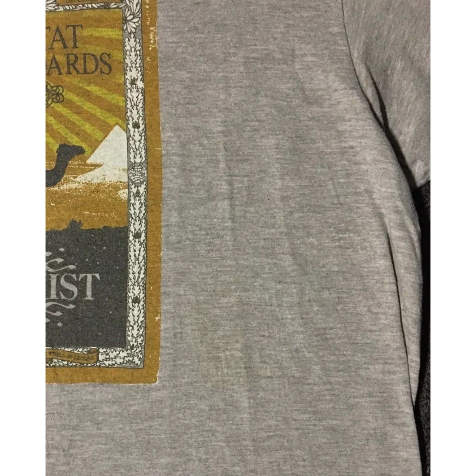 Thrasher Habitat Skateboards Faded Shirt L Gray Thrasher T-Shirt Mens 90s Grunge Y2K Alien Workshop Skateboarding Size US L / EU 52-54 / 3 - 5 Thumbnail