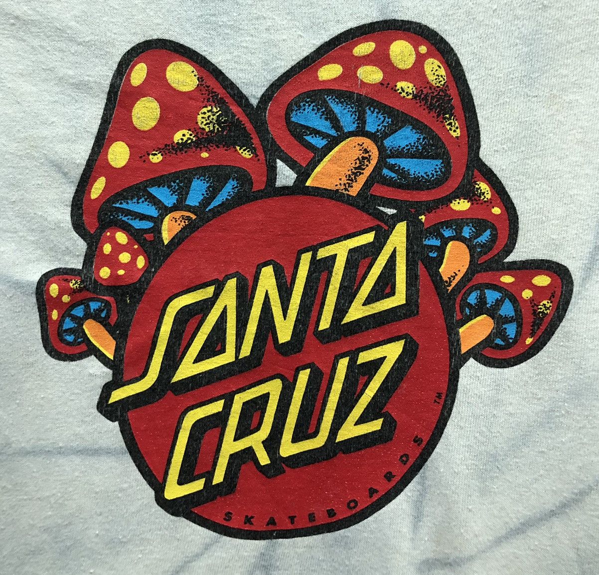 Santa Cruz Skateboards Vintage Santa Cruz Skateboards T-Shirt Size US M / EU 48-50 / 2 - 3 Thumbnail