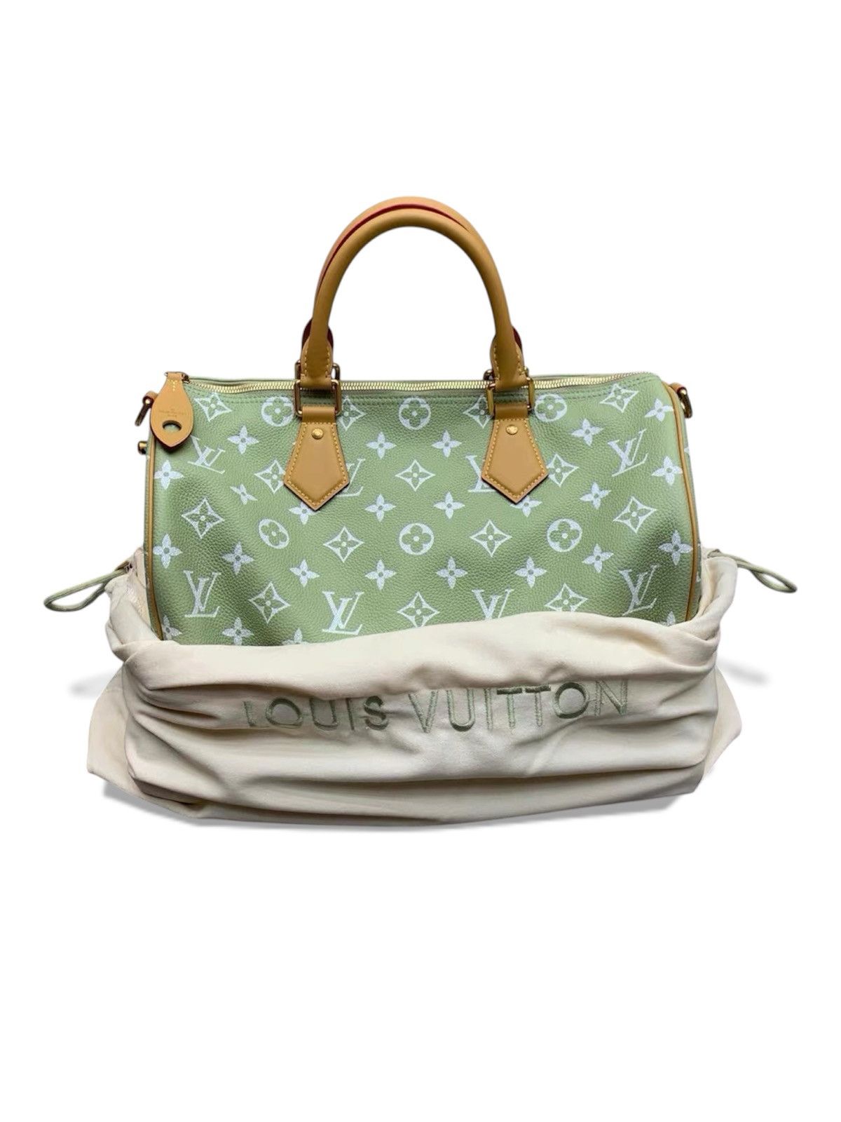 Louis Vuitton Louis Vuitton 40 Speedy P9 Bandouliere Duffel bag Keepall Size 40 - 5 Thumbnail