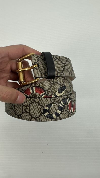 Gucci supreme hot sale kingsnake belt