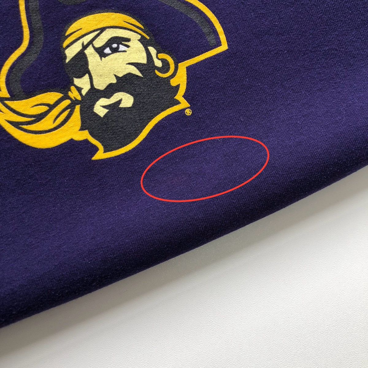 Champion × Vintage Champion ECU East Carolina Pirates 00’s Vintage Sweatshirt Size US M / EU 48-50 / 2 - 10 Thumbnail