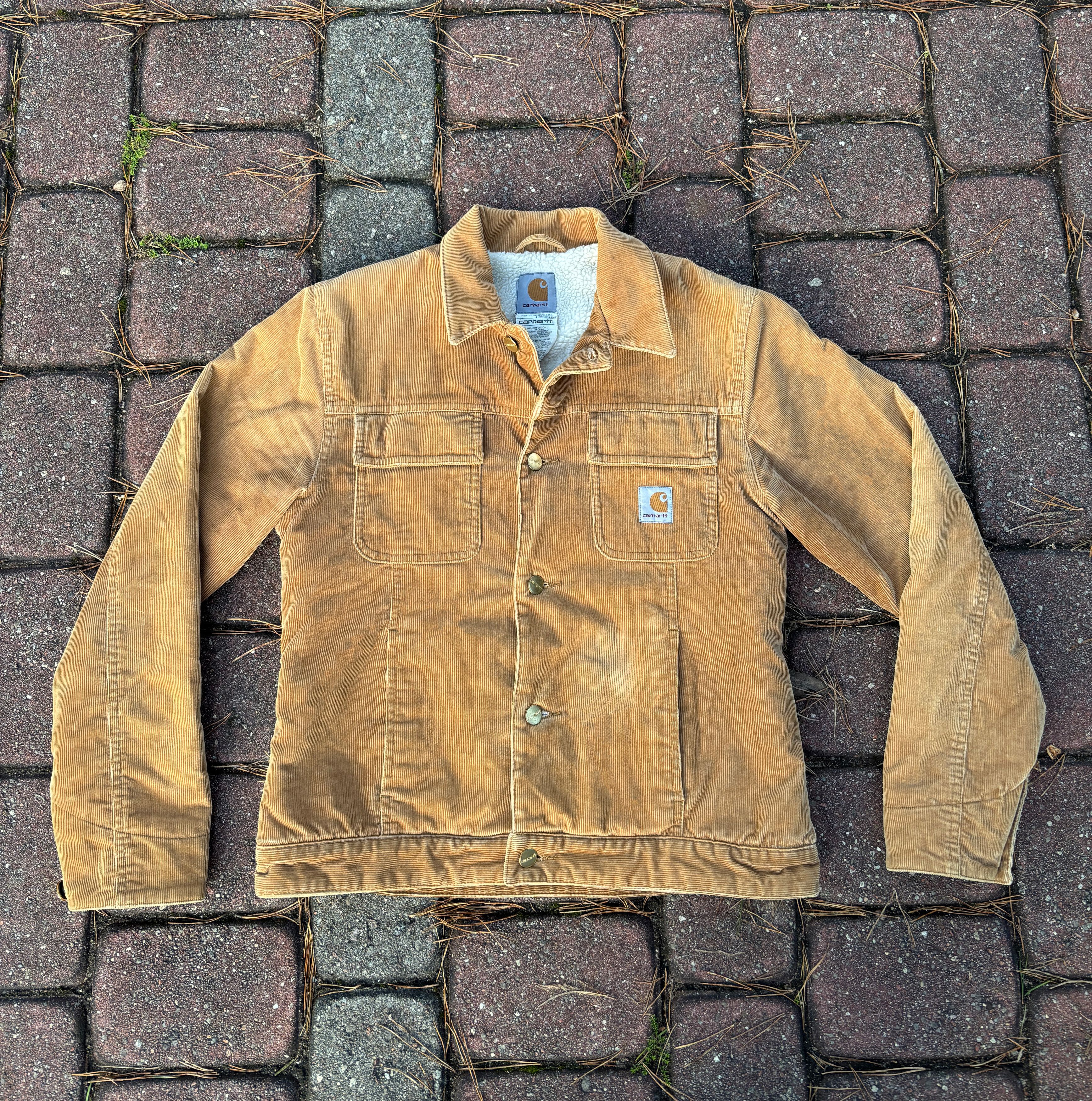 Joe freshgoods sunset Sherpa