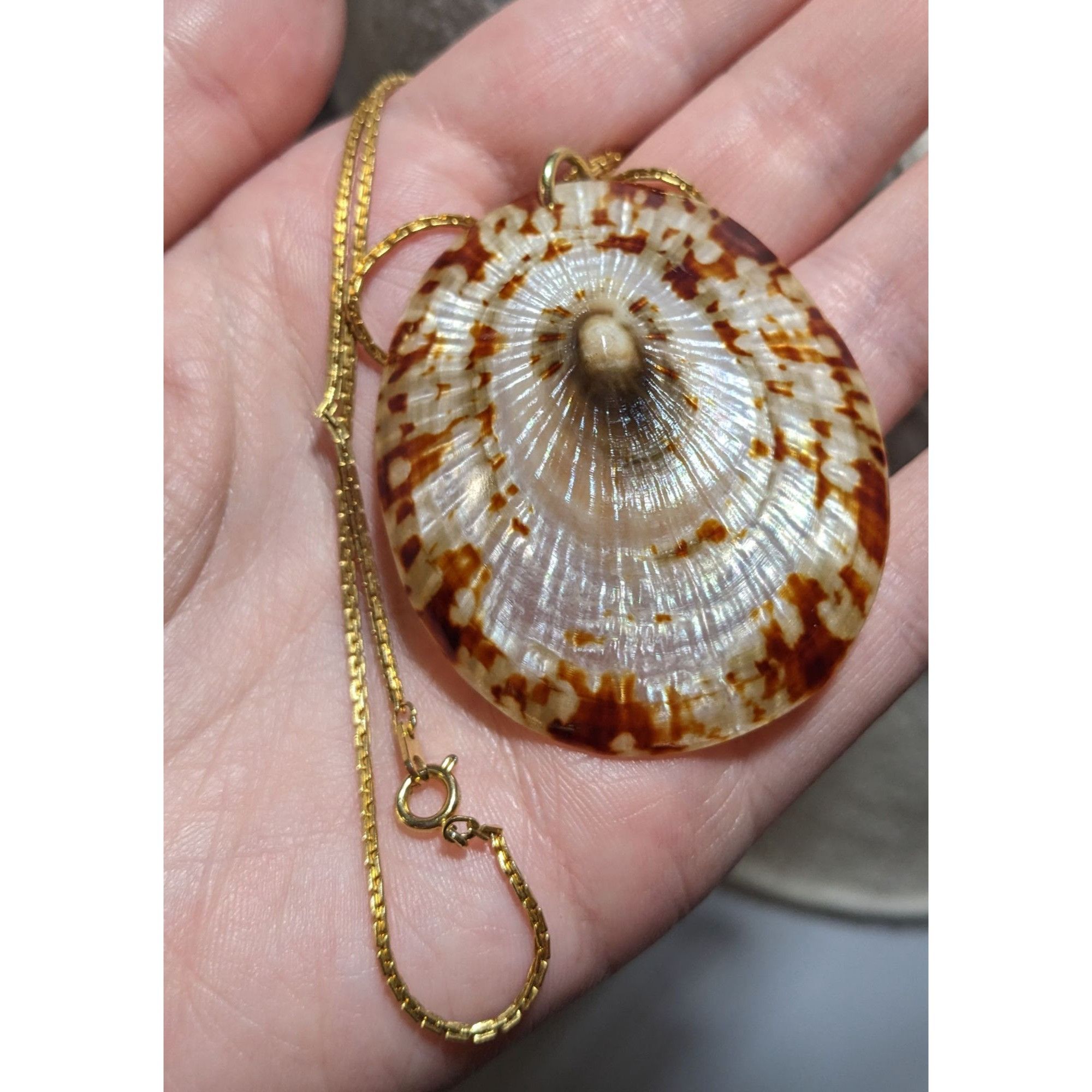 Other Limpet Shell Pendant Necklace Size ONE SIZE - 10 Thumbnail