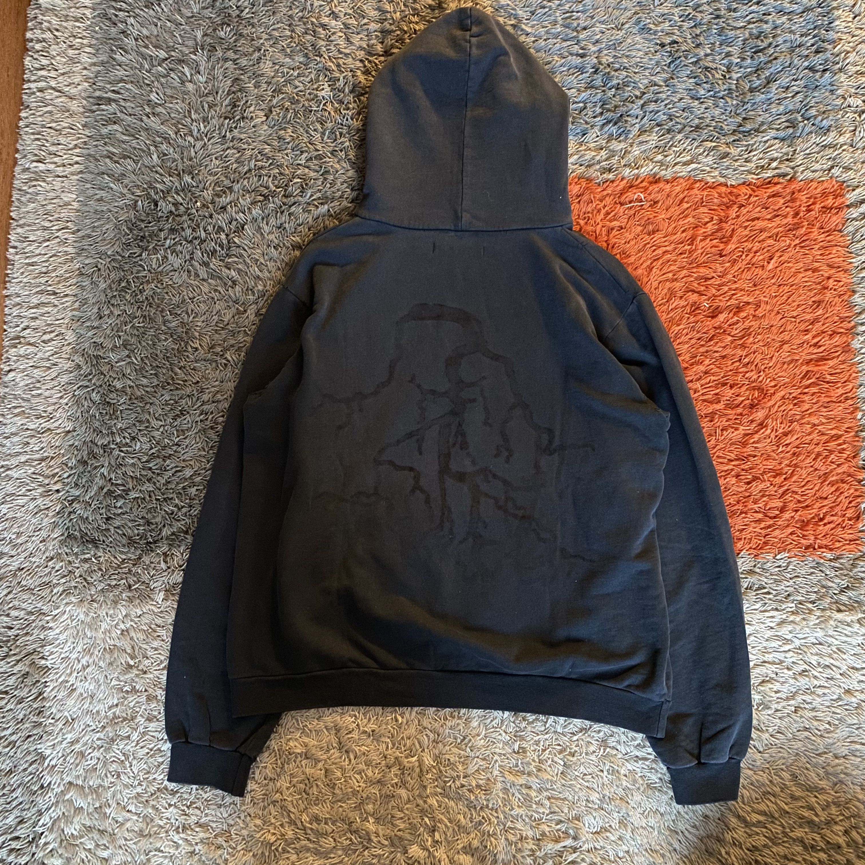 Raf Simons Raf Simons “Virginia Creeper” Roots Hoodie - AW02 Size US L / EU 52-54 / 3 - 4 Thumbnail