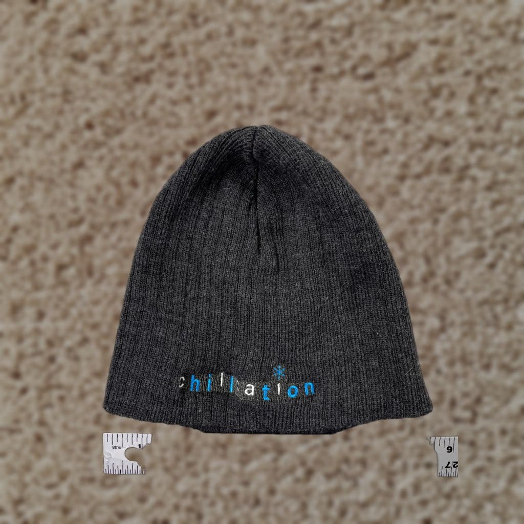 Vintage FERSTEN WORLDWIDE Beanie Hat Adult One Size Gray Acrylic Knit Outdoor Ski Mens Size ONE SIZE - 1 Thumbnail