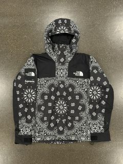 DS New Supreme TNF North Face Mountain Jacket FW 19 Statue of