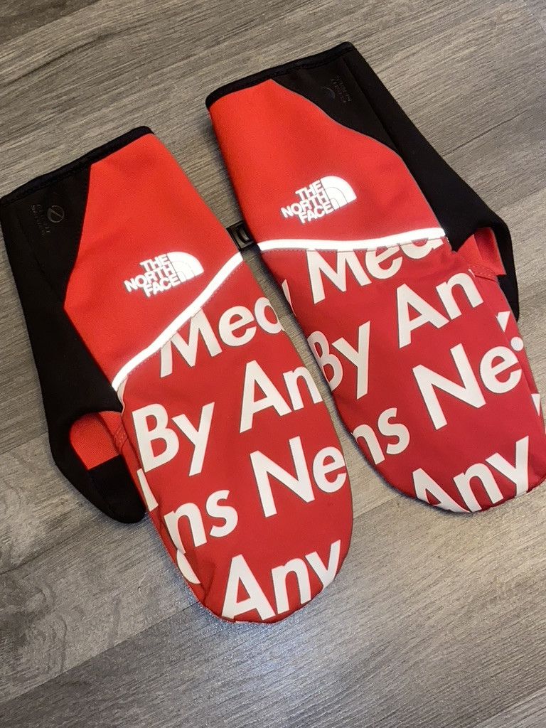 Supreme × The North Face FW15 Supreme x The North Face BAMN Gloves Size 28 - 5 Thumbnail