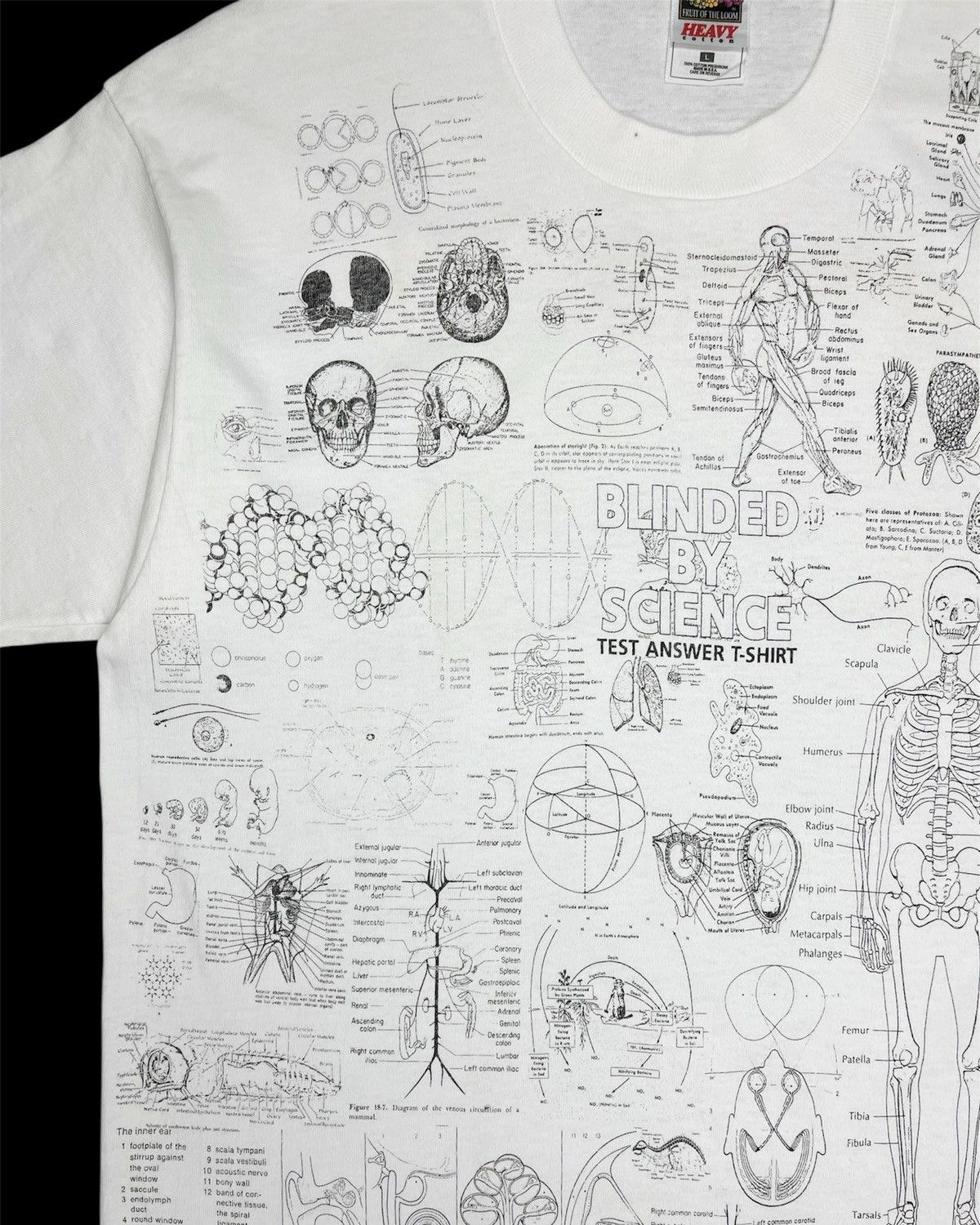 Vintage 1990s Blinded by Science Test Answer Anatomy Tee Size US M / EU 48-50 / 2 - 7 Thumbnail