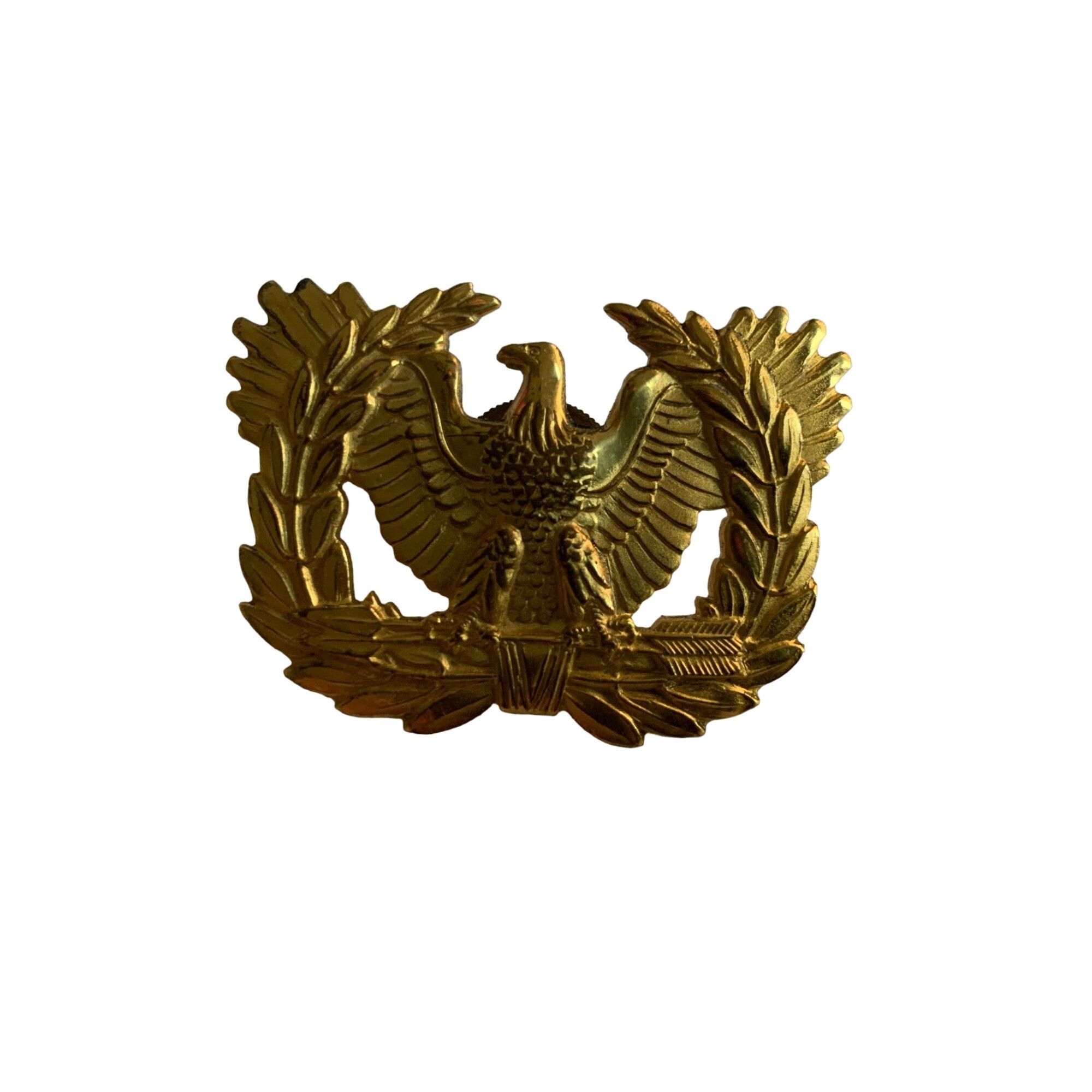Other Vintage US Army Warrant Officer's Cap Eagle Pin with Screw B Size ONE SIZE - 1 Thumbnail