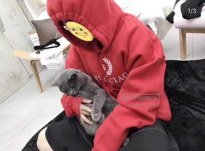 Balenciaga Balenciaga Red Wheat Hooded Sweatshirt Size US L / EU 52-54 / 3 - 5 Thumbnail