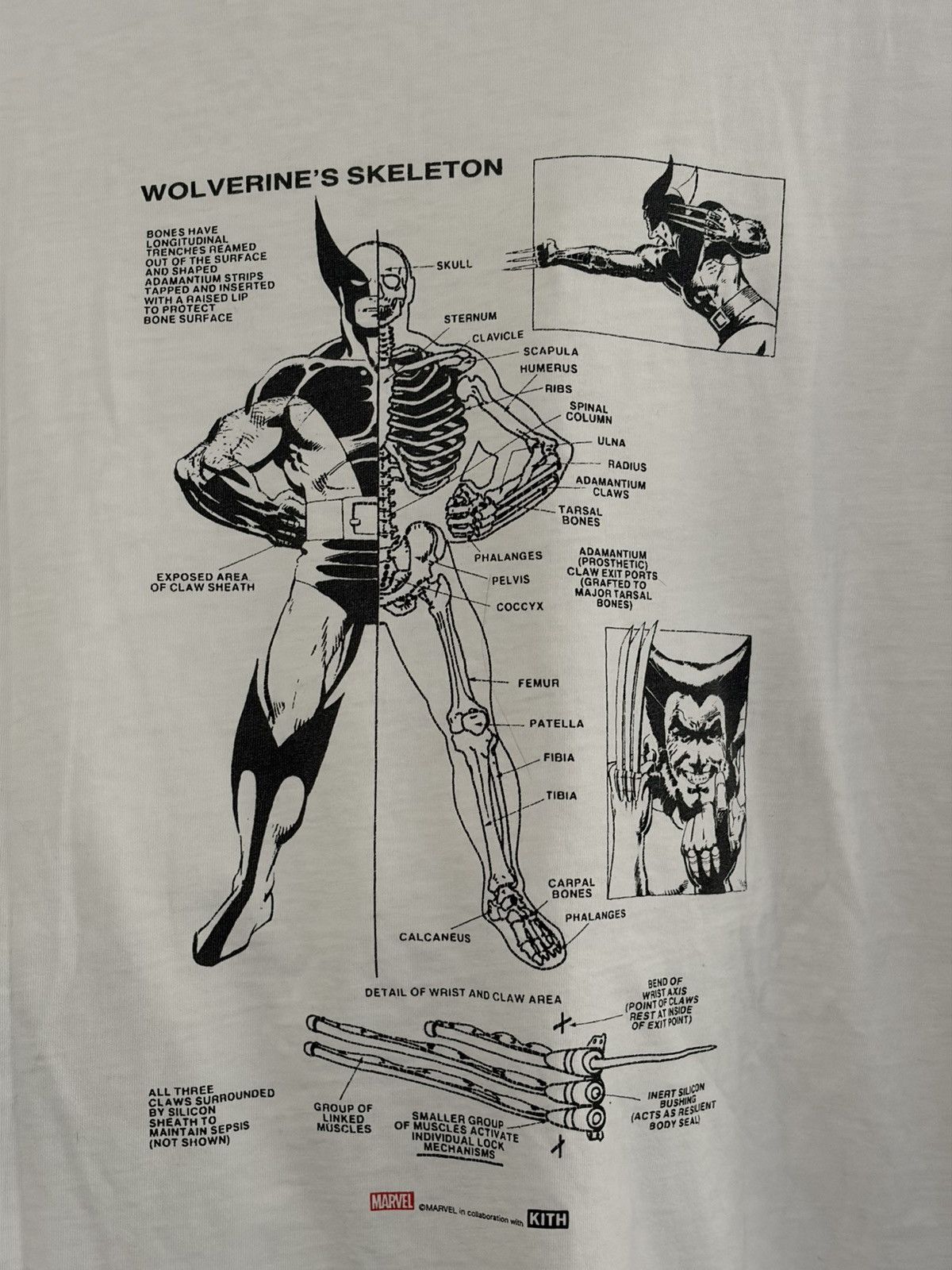 Asics × Kith × Marvel Comics Kith x Marvel Comics Wolverine Anatomy Tee Size US L / EU 52-54 / 3 - 5 Thumbnail