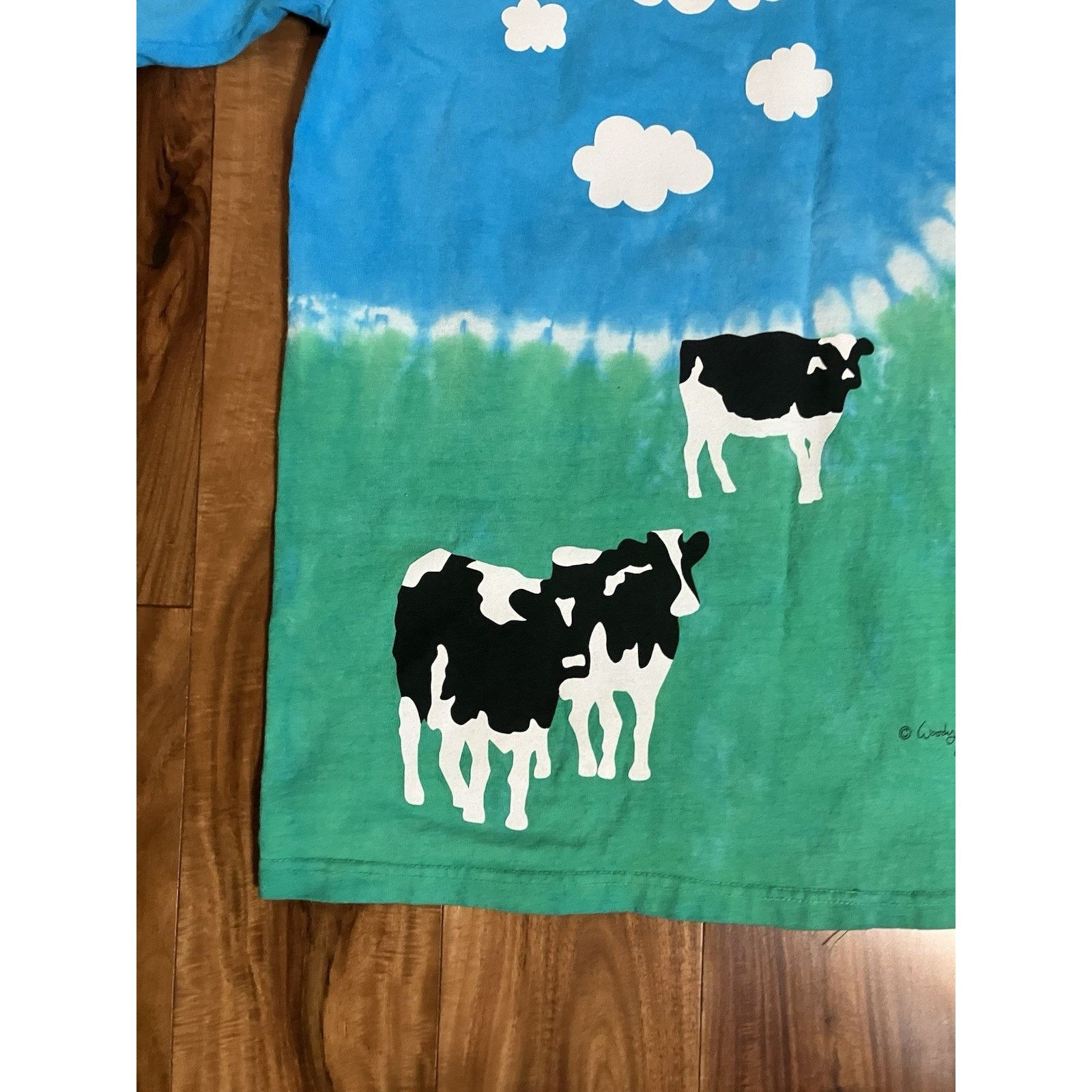 Anvil Ben & Jerry’s Euphoria AOP Ice Cream T-Shirt Size M Tie Dye Size US M / EU 48-50 / 2 - 17 Thumbnail