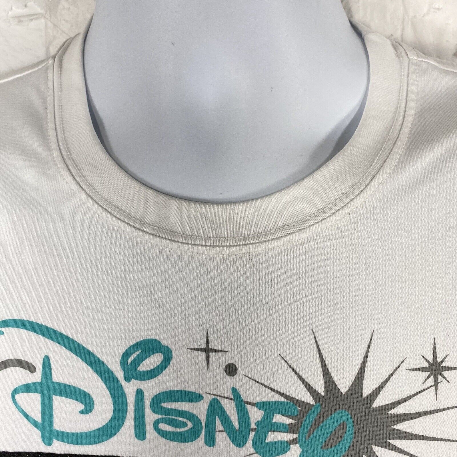 Champion Champion RunDisney T Shirt 2015 Glass Slipper Challenge Size US M / EU 48-50 / 2 - 4 Thumbnail