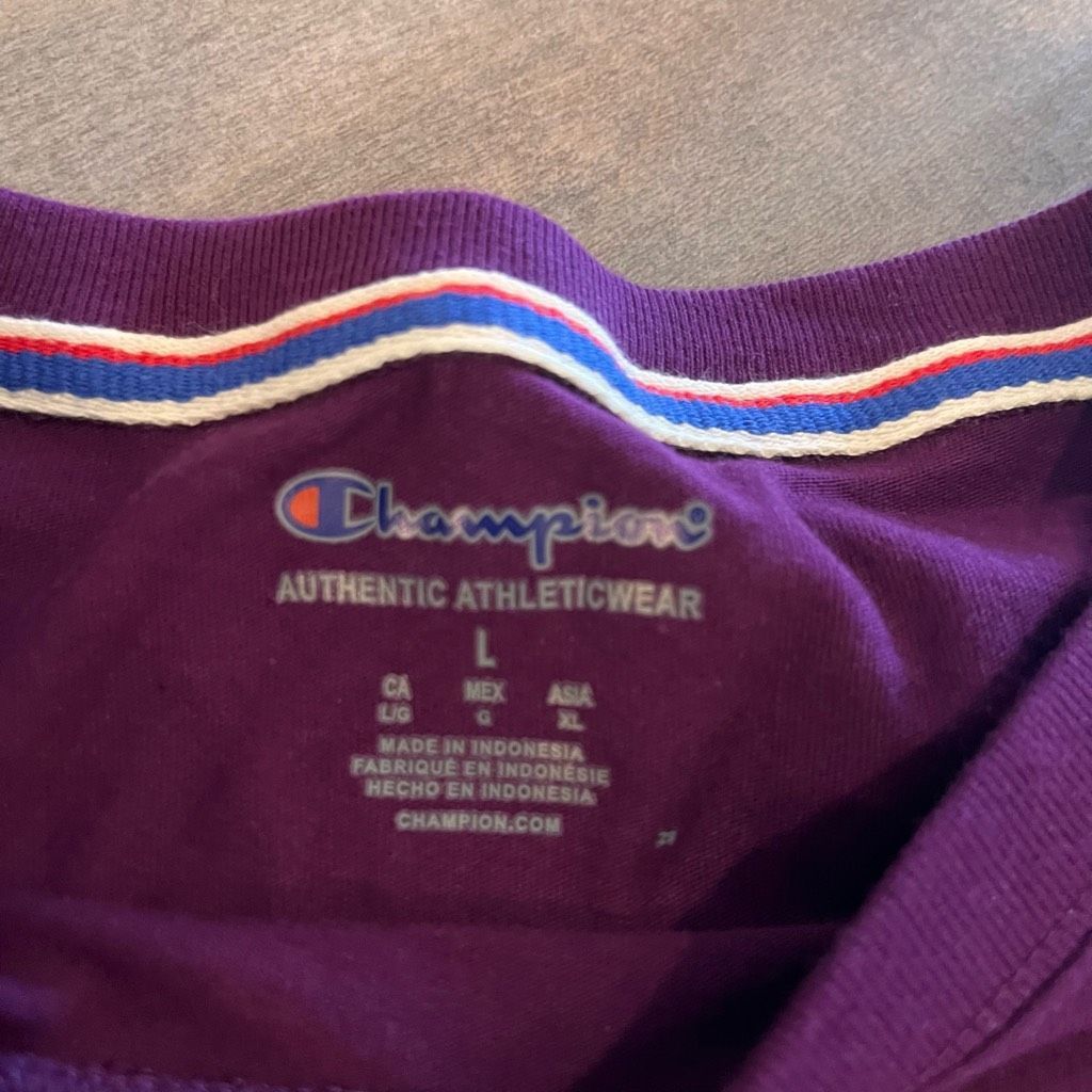 Champion NWT Champion Purple Athletic Longsleeve Shirt Women Large Bi Size L / US 10 / IT 46 - 4 Thumbnail