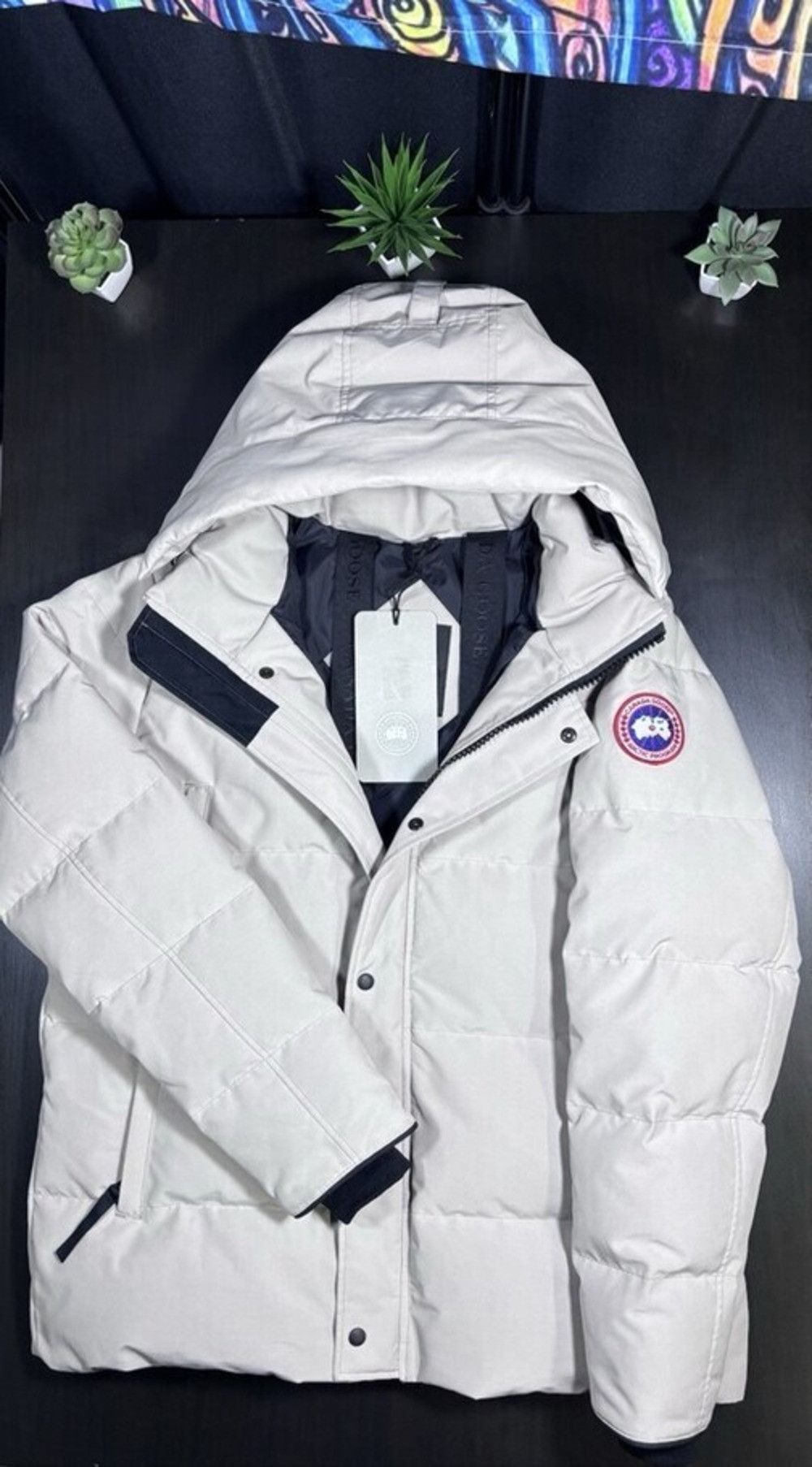 CANADA GOOSE WYNDHAM PARKA JACKET (XL) BNWT LIMESTONE £1,275