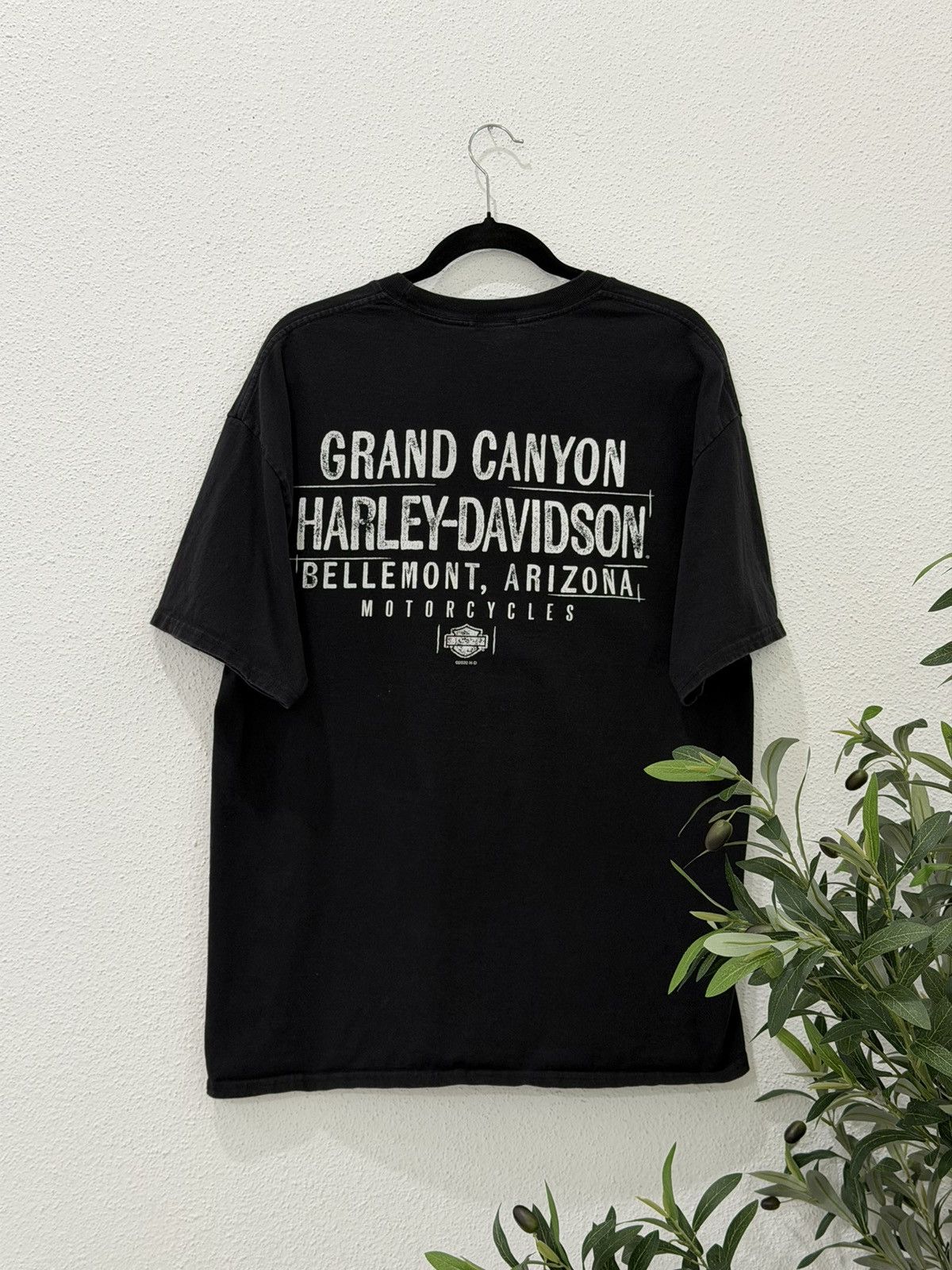 Harley Davidson Harley Davidson grand Canyon Sunset Biker Graphic Tee SizeXL Size US XL / EU 56 / 4 - 3 Thumbnail