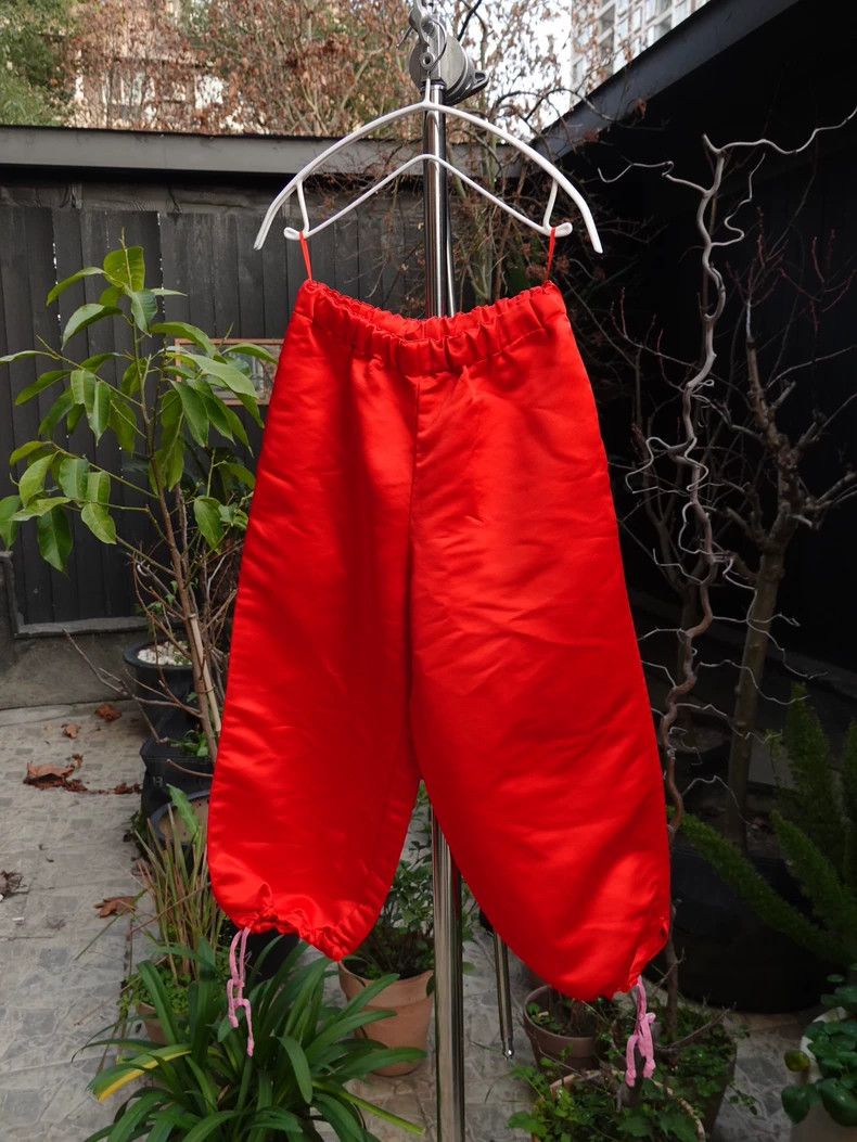 Comme des Garcons Comme Des Garcons Red casual pants Size US 27 - 1 Thumbnail