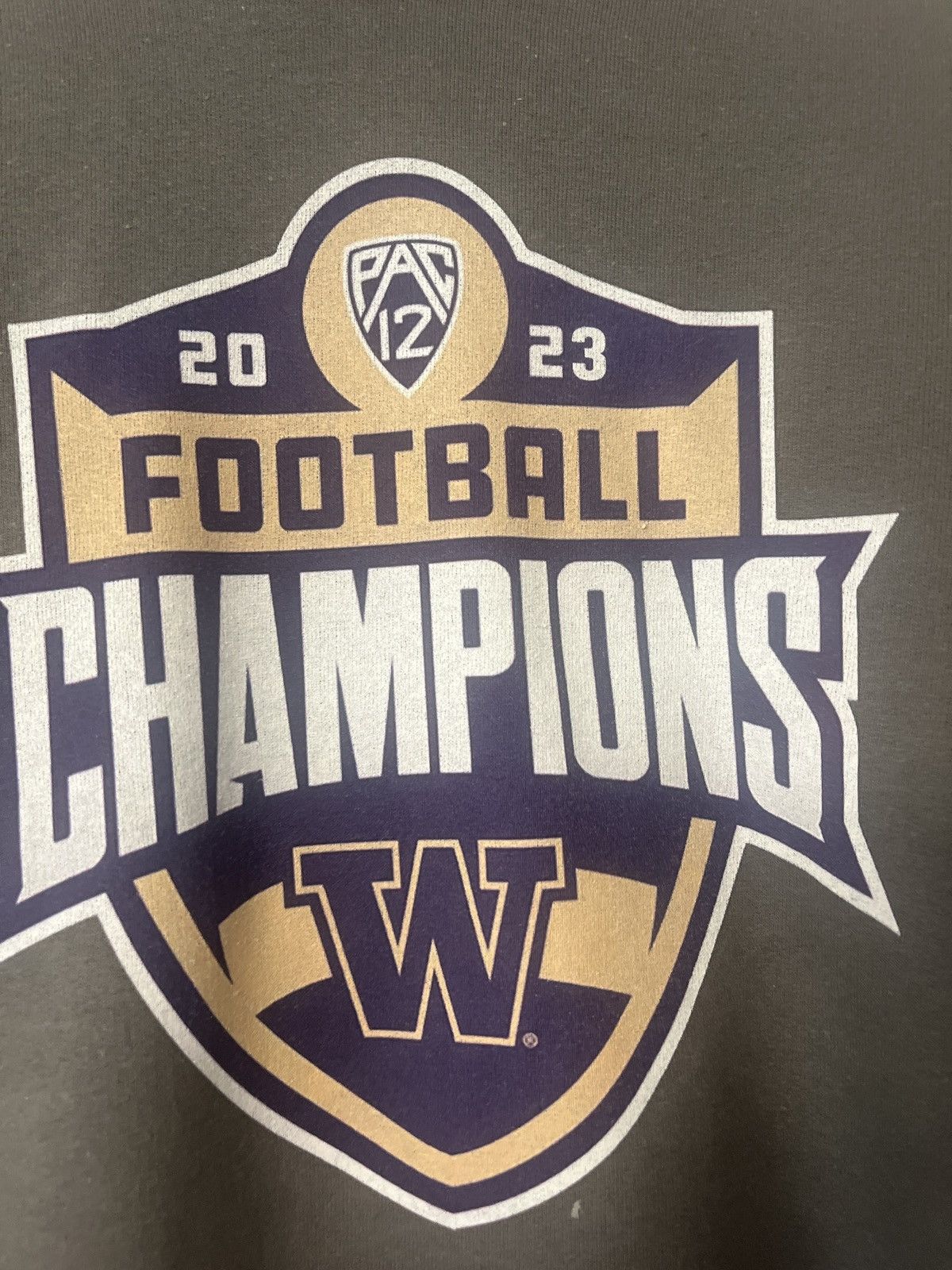 Other Washington 2023 Pac 12 champions Hoodie Size US M / EU 48-50 / 2 - 3 Thumbnail