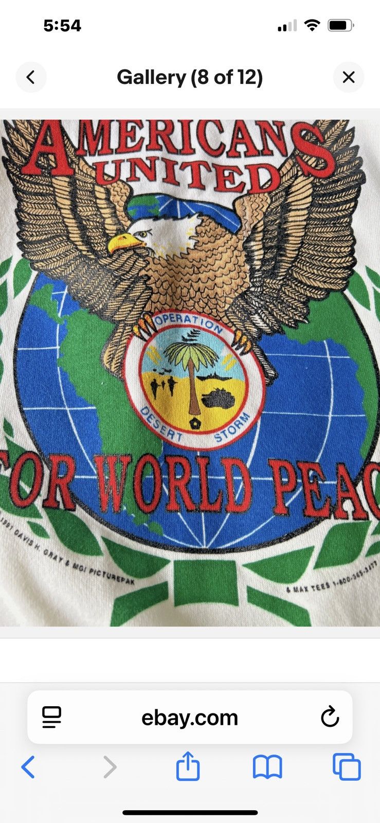 Hanes Operation Desert Storm Americans United Sweatshirt Size L Size US L / EU 52-54 / 3 - 8 Thumbnail