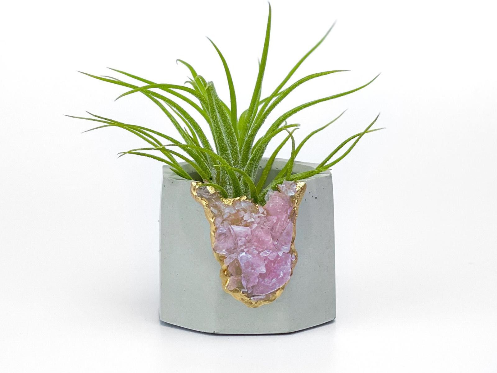 Other Rose Quartz Crystal Planter Concrete Geode Air Plant Holder Size ONE SIZE - 1 Thumbnail
