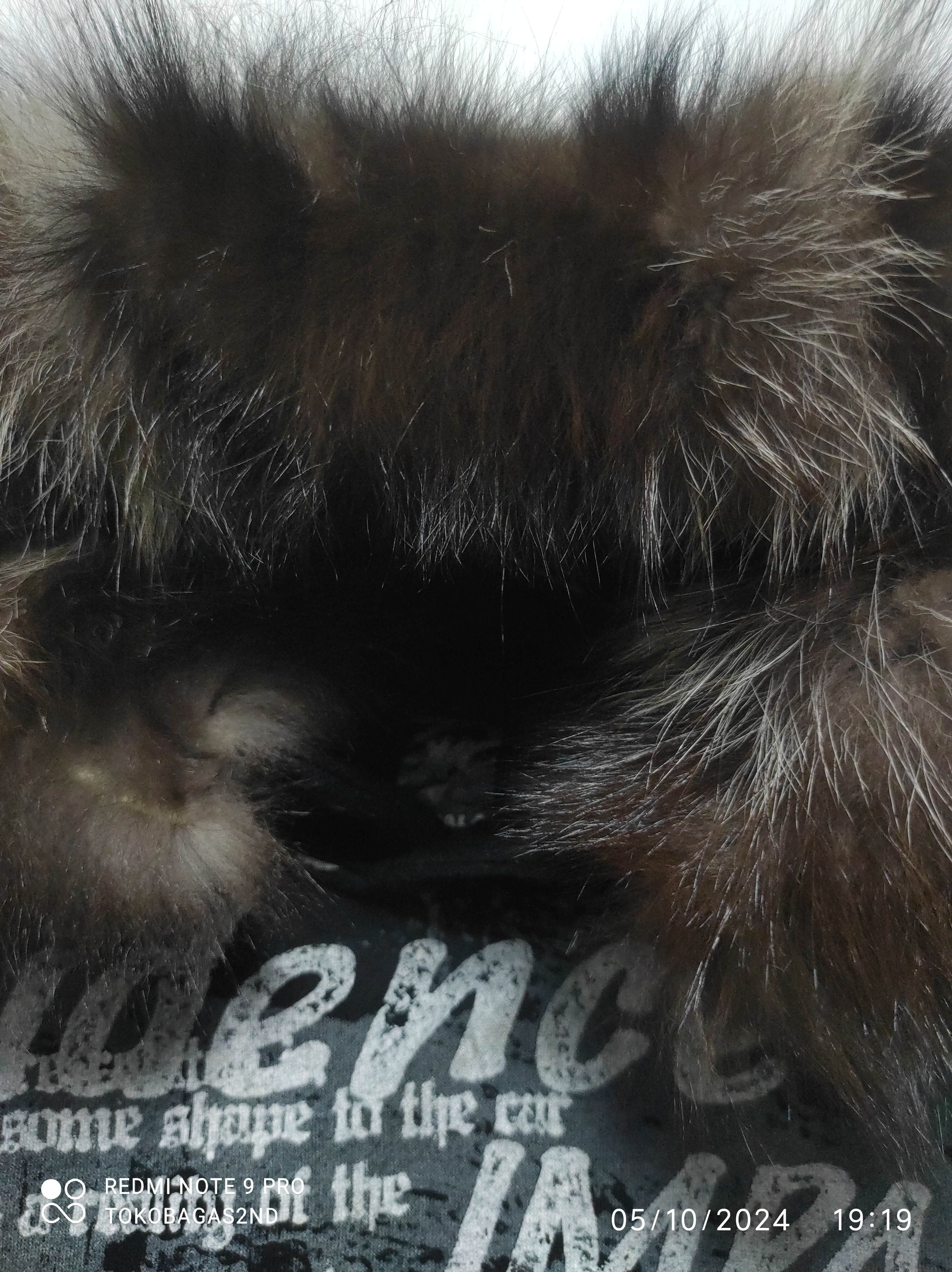 Hysteric Glamour Impala Poem Fur Hoodie i6w9 LGB style Size US XL / EU 56 / 4 - 6 Thumbnail