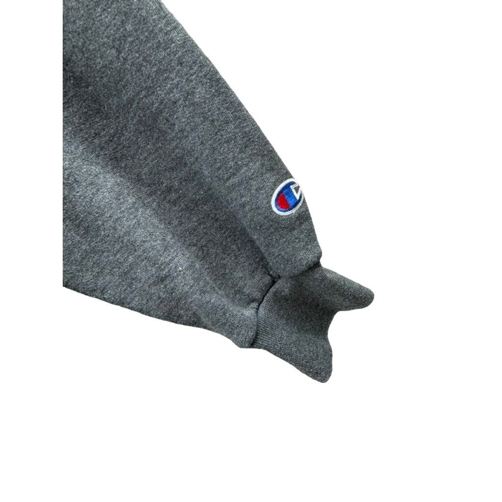 Champion × Vintage 2000's Champion Purdue Northwest College Graphic Hoodie Size US L / EU 52-54 / 3 - 7 Thumbnail