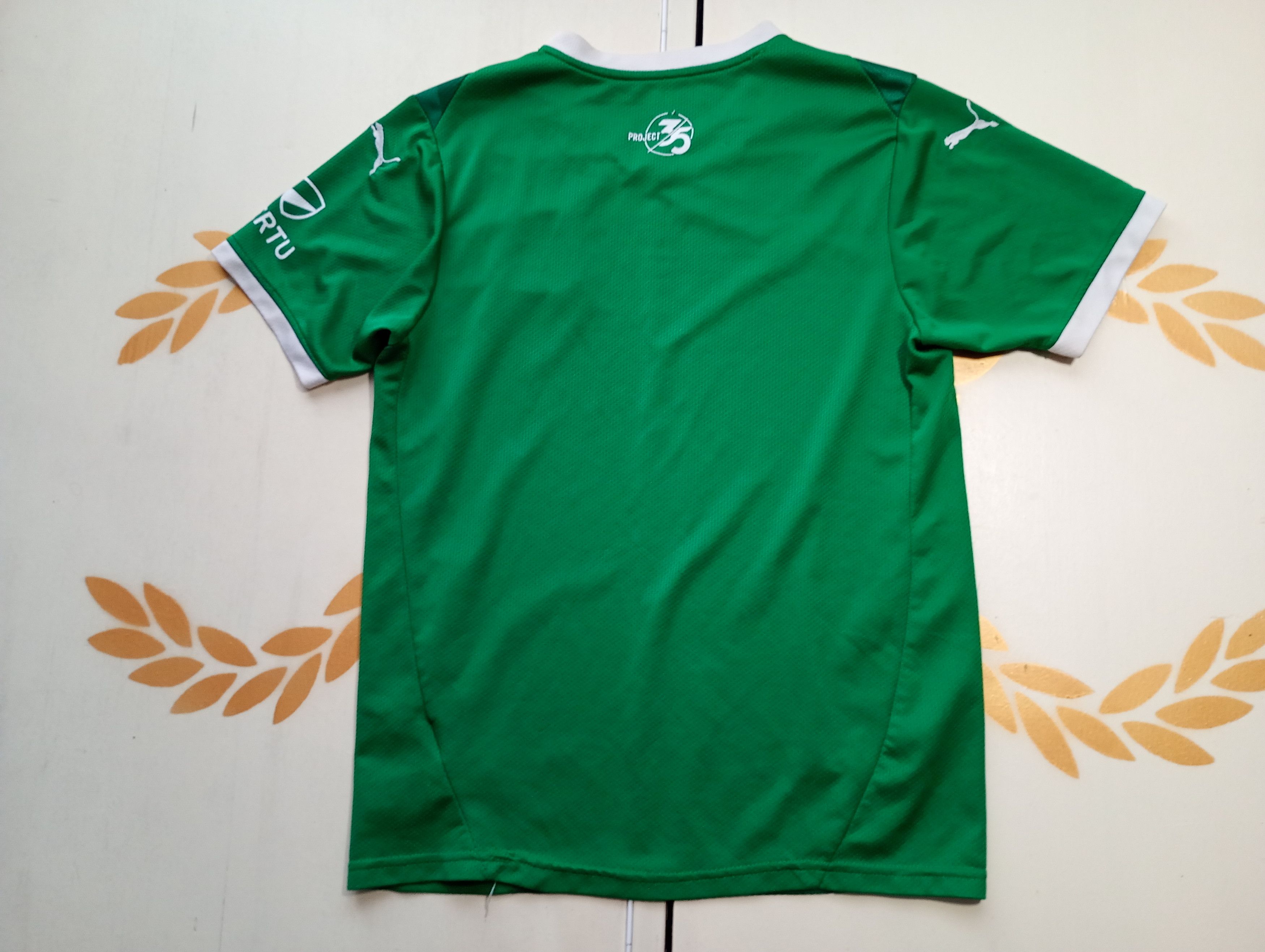 Puma Puma Plymouth Argyle FC Home Jersey 2024-2025 Size US S / EU 44-46 / 1 - 12 Thumbnail