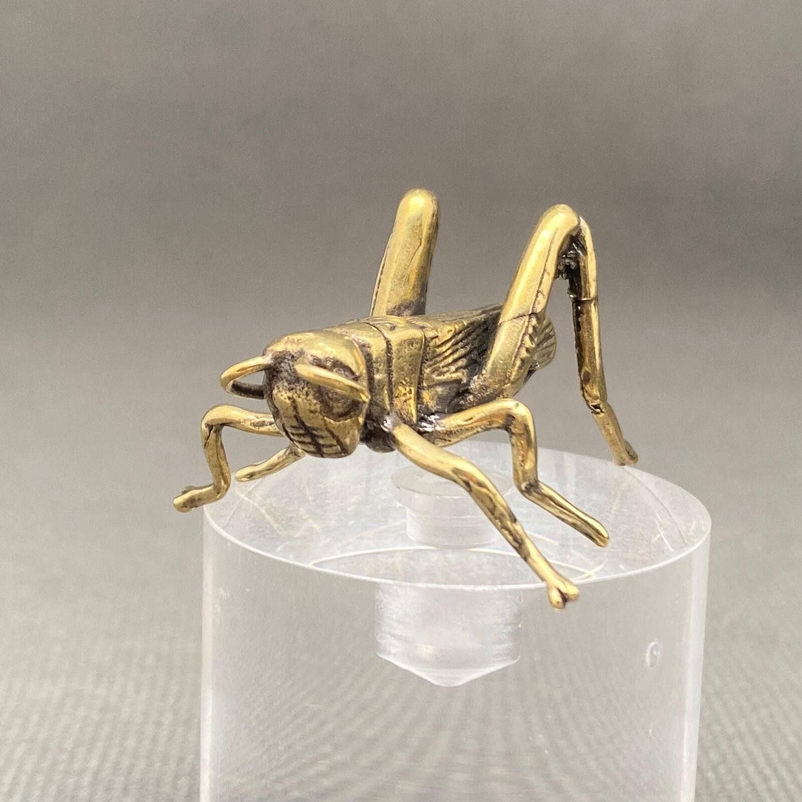 The Unbranded Brand Brass Grasshopper Figurine Sculpture Size ONE SIZE - 4 Thumbnail