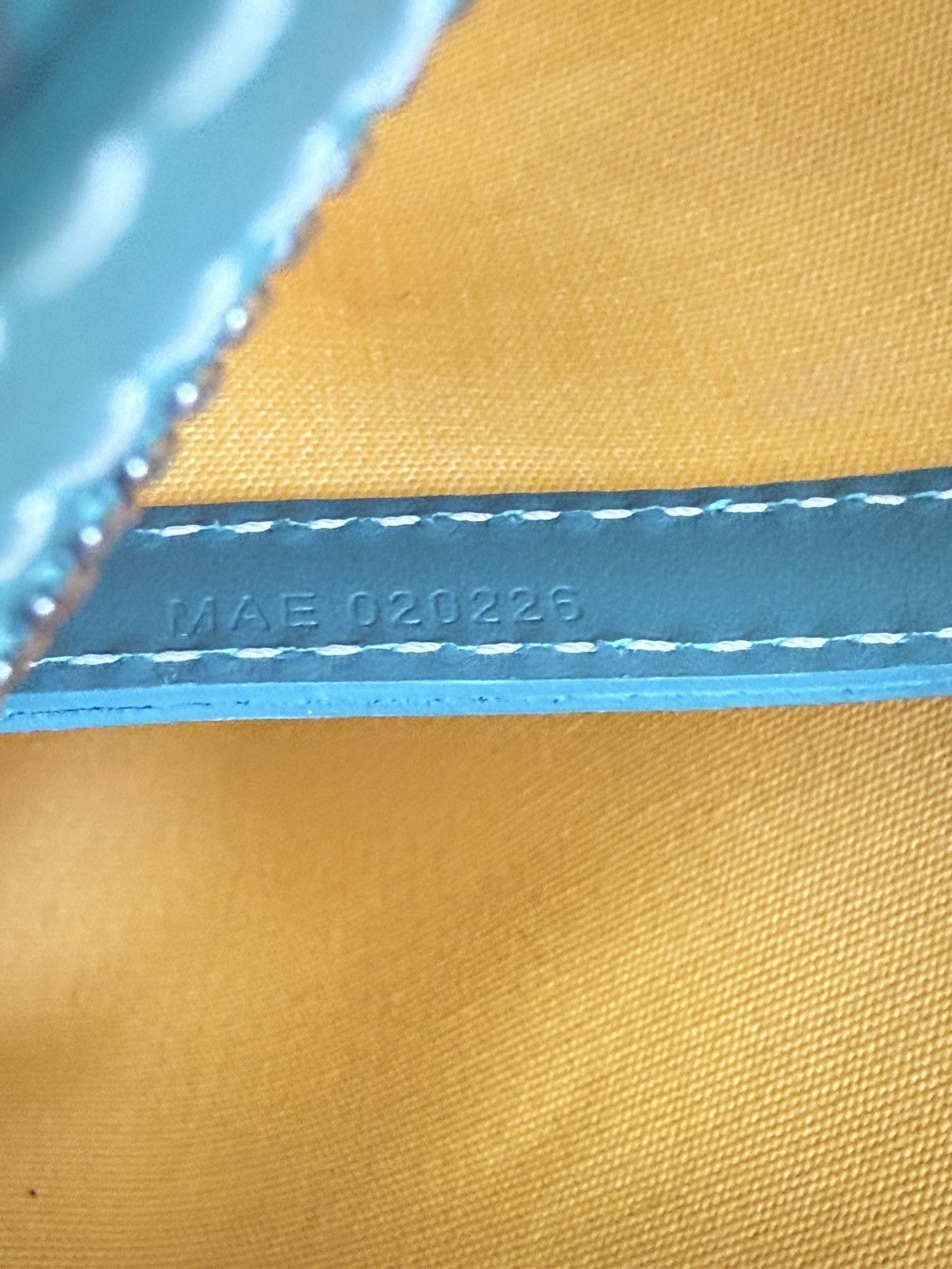 Goyard Goyard Cap Vert Bag Size ONE SIZE - 8 Thumbnail