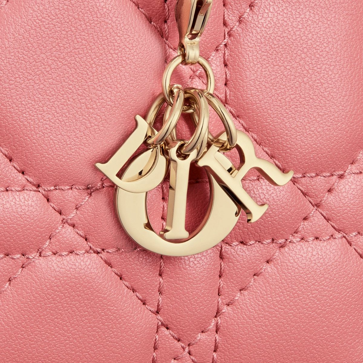 Dior o1bcso1str0125 Mini Beg in Pink Size ONE SIZE - 4 Thumbnail