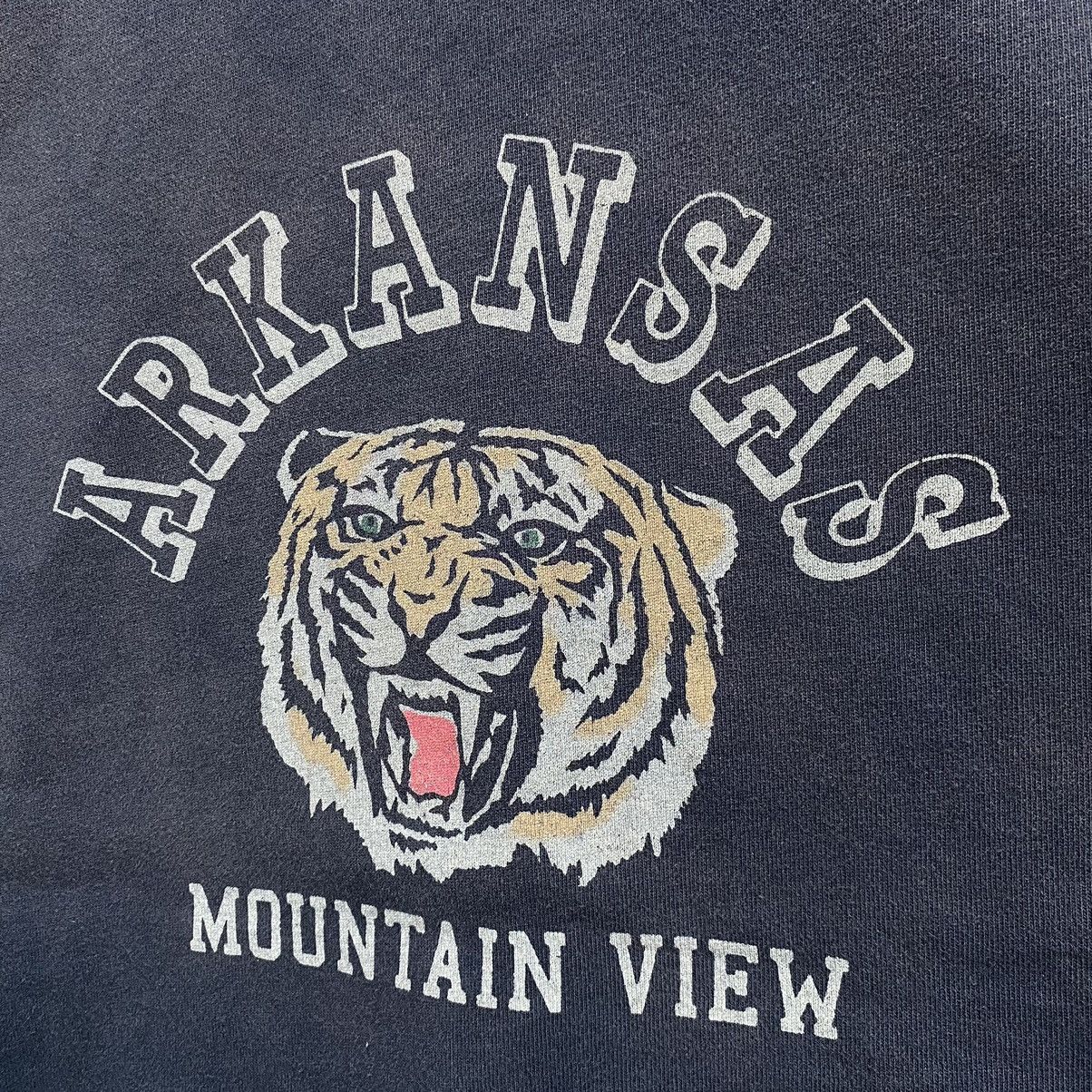 Vintage Vintage Screen Stars Arkansas Mountain View Sweatshirt Size US L / EU 52-54 / 3 - 6 Thumbnail