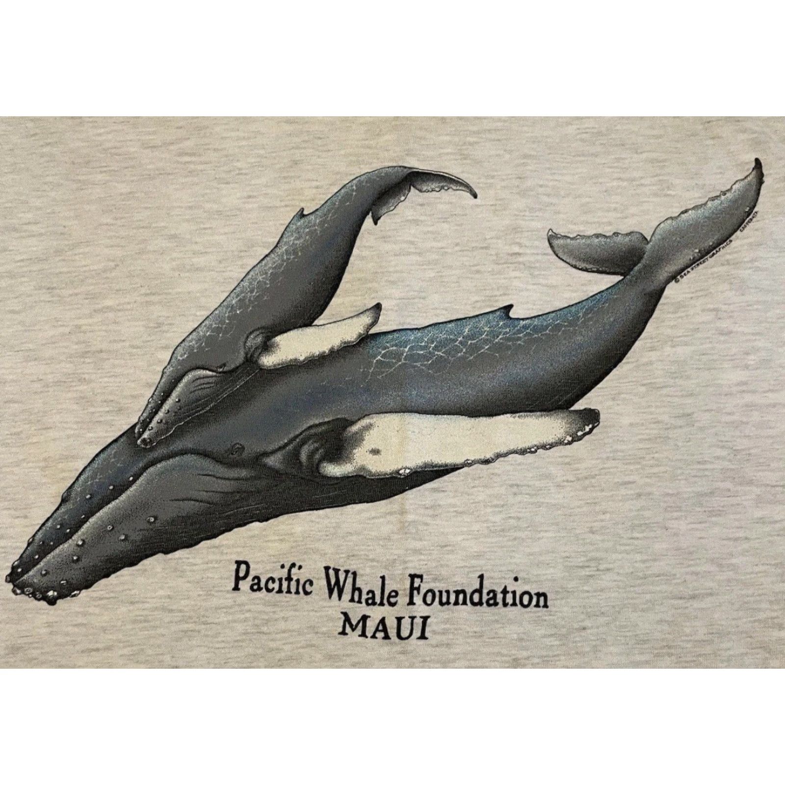 Vintage VINTAGE Maui Whale Watch 90s Shirt - Faded Gray Short Sleeve T-Shirt Men S Vintage Surf Art Grunge All Over Print Hawaii Beach Ocean Animals USA Size US S / EU 44-46 / 1 - 3 Thumbnail