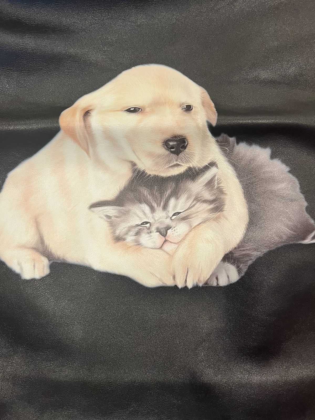 Balenciaga Balenciaga Puppy & Kitten Leather Shopping Bag Size ONE SIZE - 7 Thumbnail