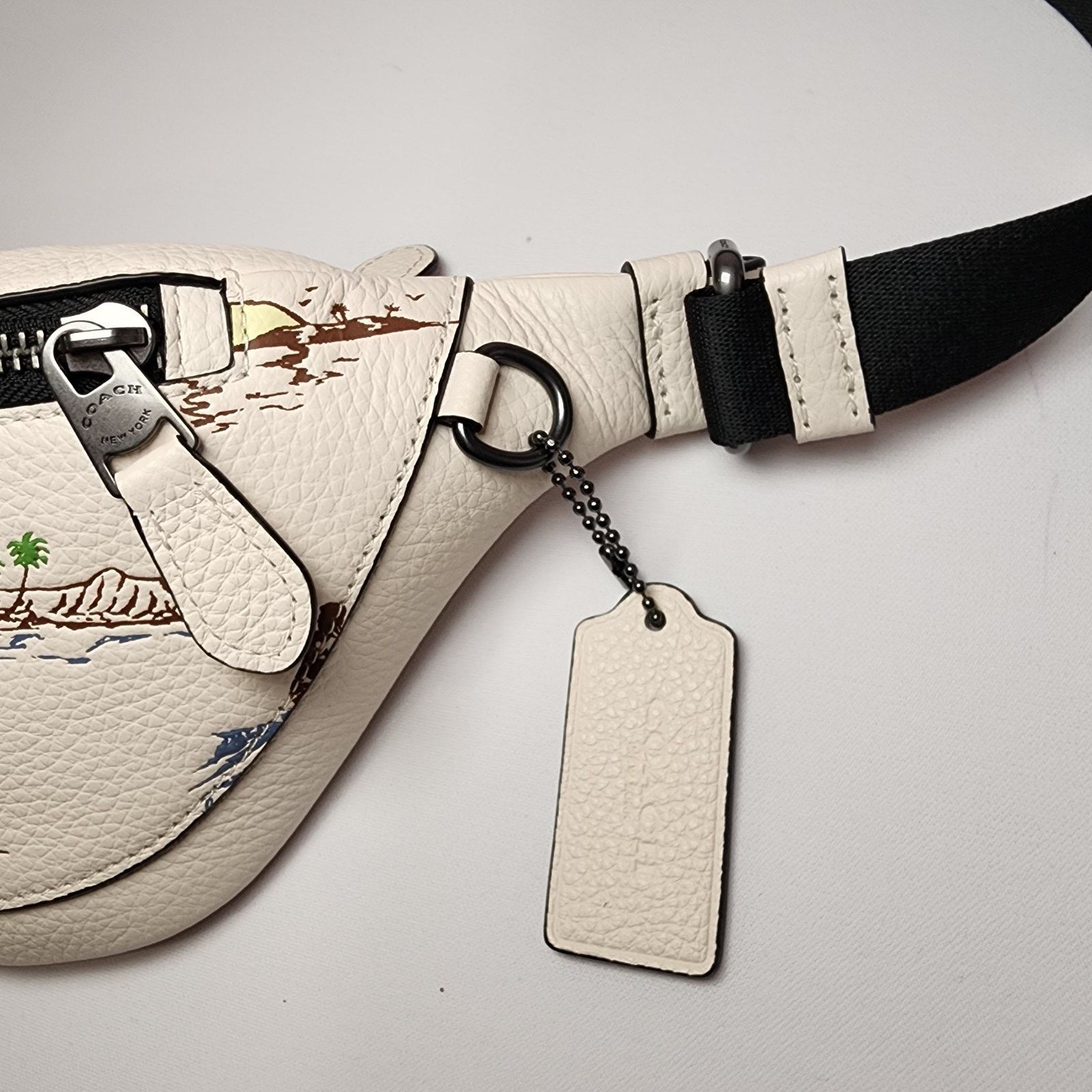 Coach NWT Coach CBI28 Warren Mini Belt Bag With Surf Print Hawaii Size ONE SIZE - 5 Thumbnail
