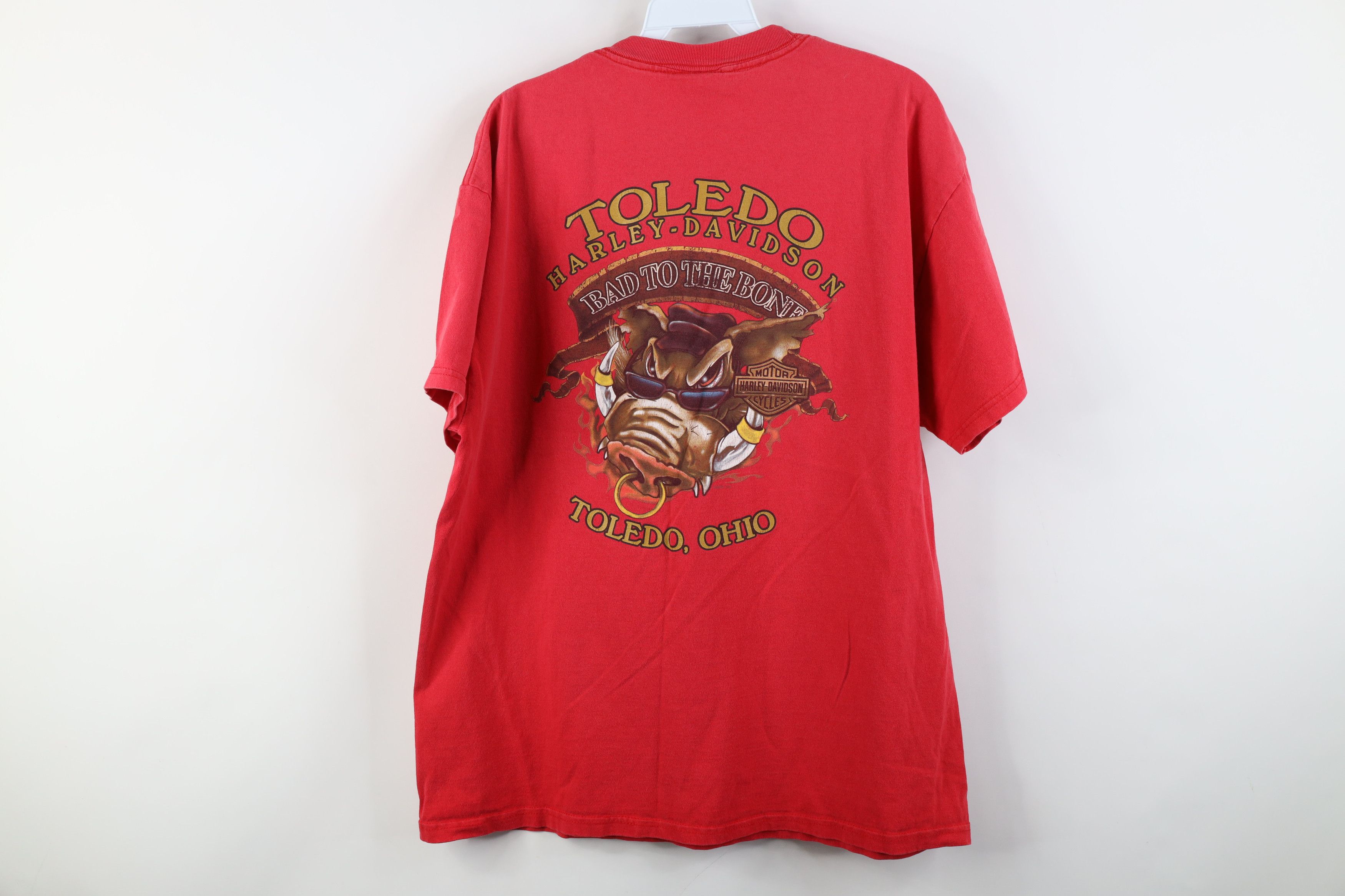 Harley Davidson Vintage Y2K Harley Davidson Fire Flames Hog Tribal T-Shirt Size US L / EU 52-54 / 3 - 13 Thumbnail