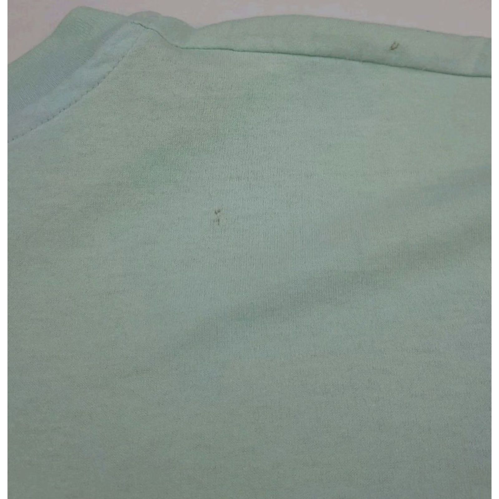 Hanes VINTAGE Hanes T-Shirt Daytona Beach Shores Bridge Art USA Green L Mens Short Sleeve Crew Neck 80s 90s Size US L / EU 52-54 / 3 - 7 Thumbnail