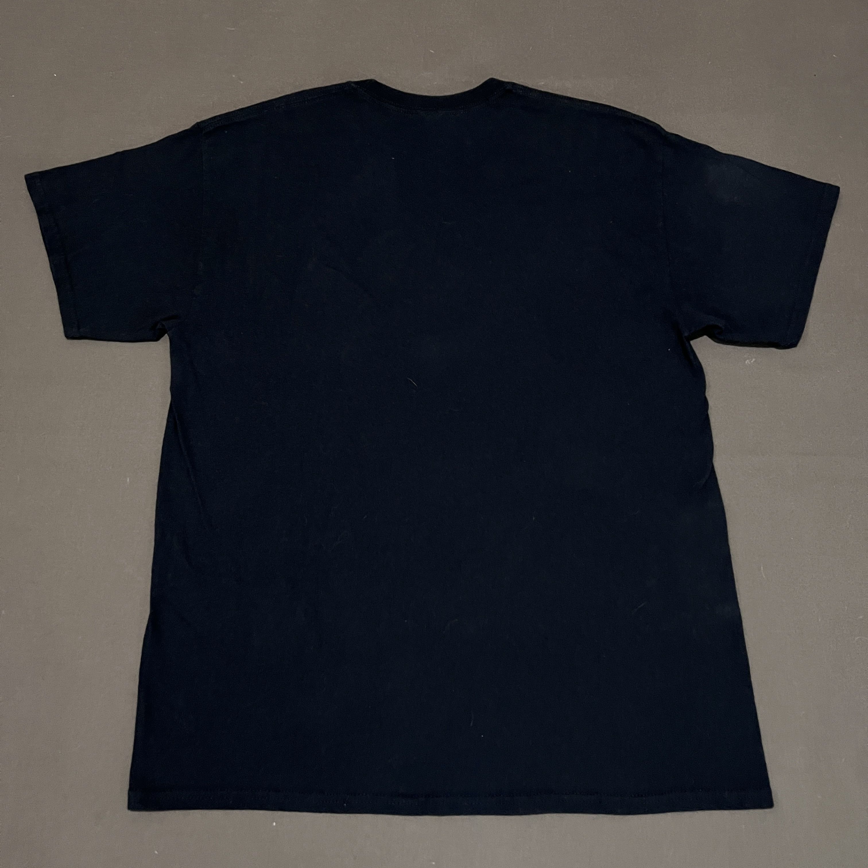 Vintage Vintage Y2K Evolution of a Stripper Promo Tee Pornstars Size US L / EU 52-54 / 3 - 4 Thumbnail