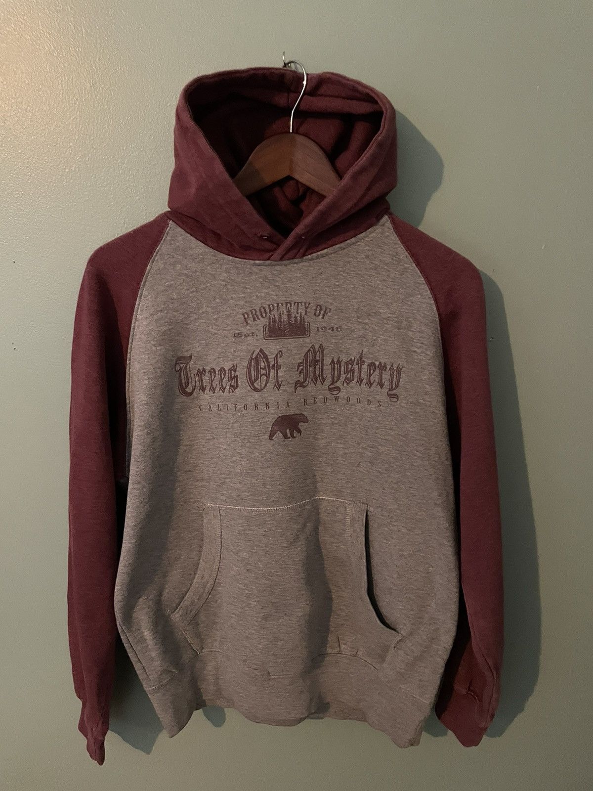 Vintage Vintage “Trees of Mystery” Redwood hoodie Size US M / EU 48-50 / 2 - 1 Thumbnail
